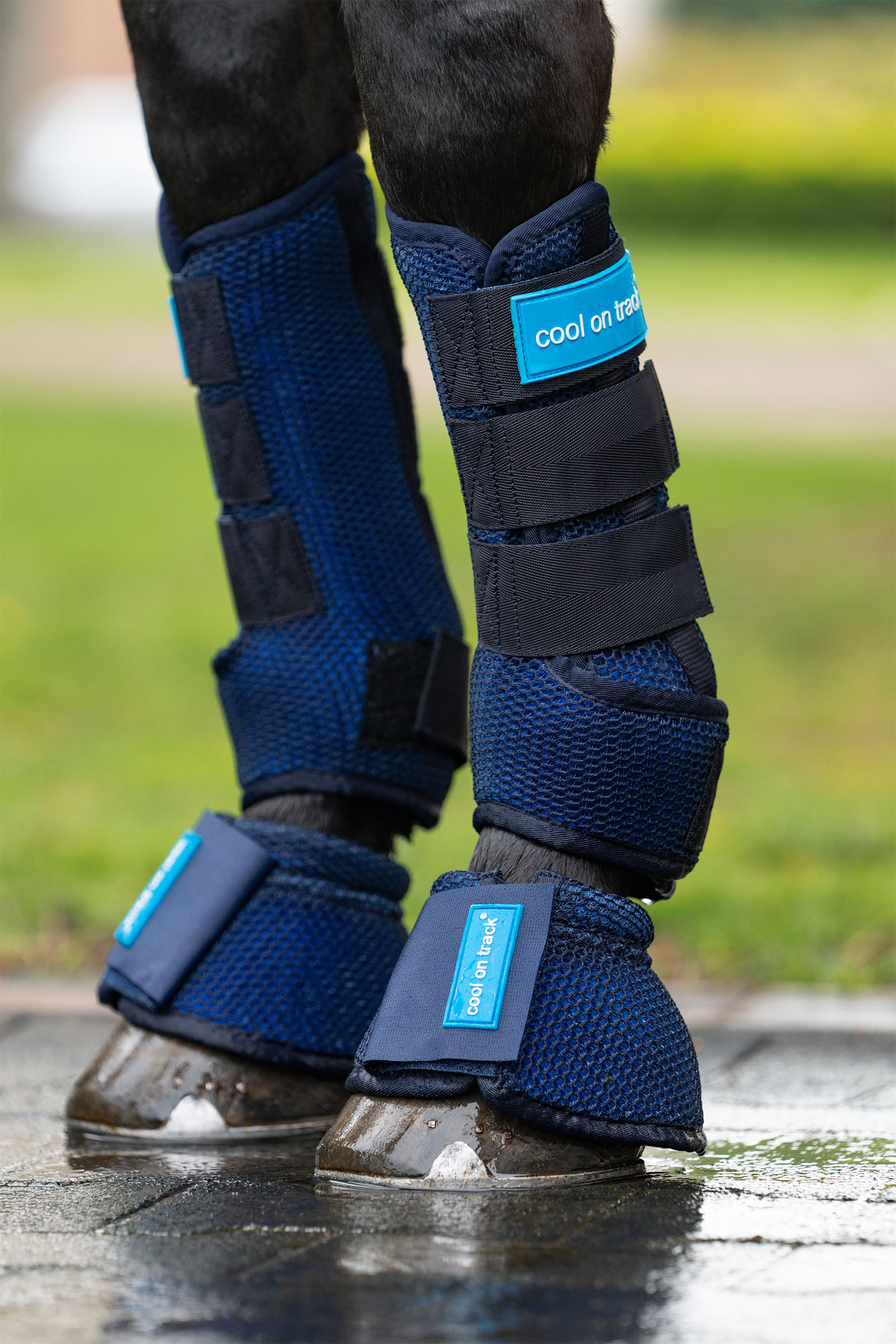Back on Track Cool on Track protectores para caballo