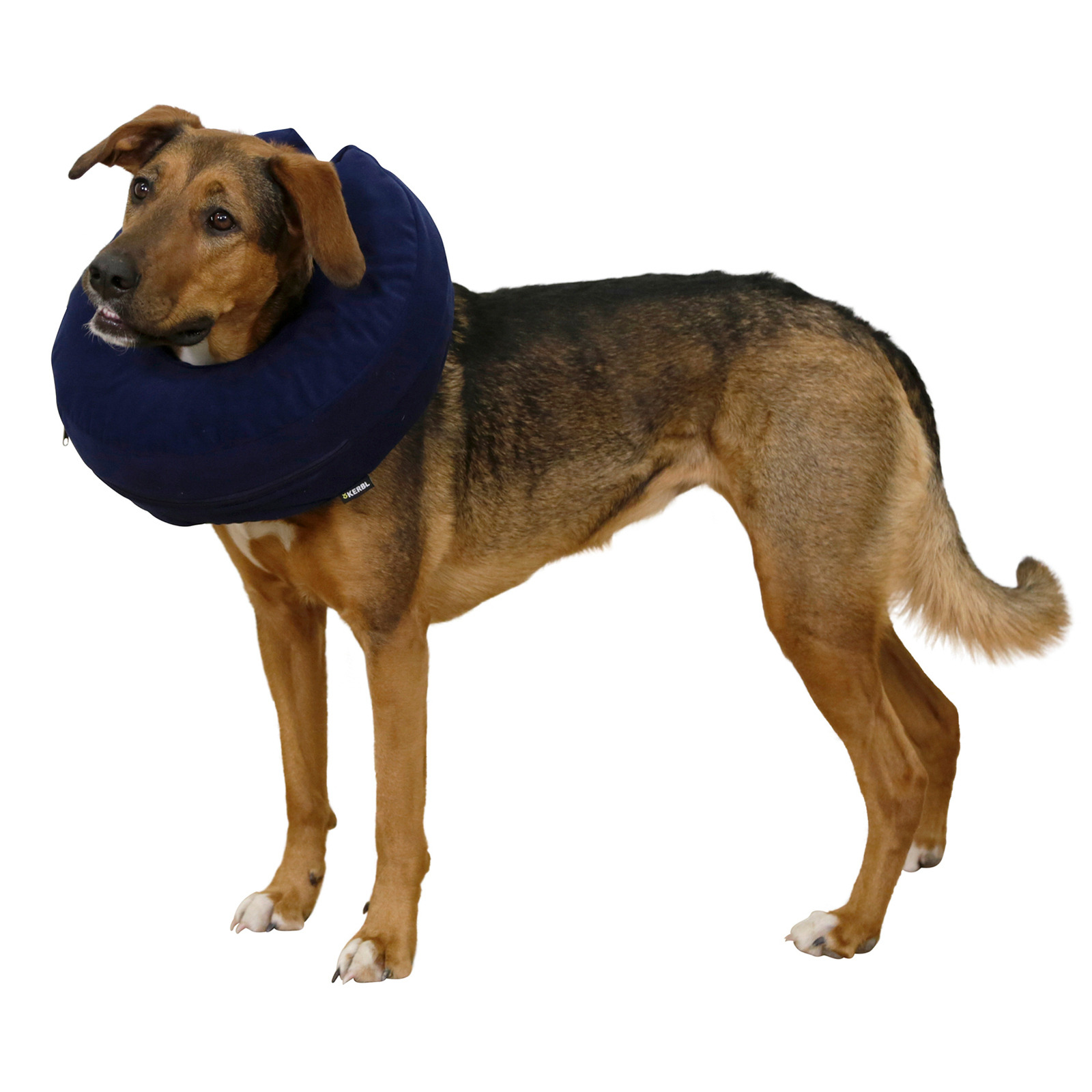 Kerbl Inflatable Dog Neck Collar 36-50cm