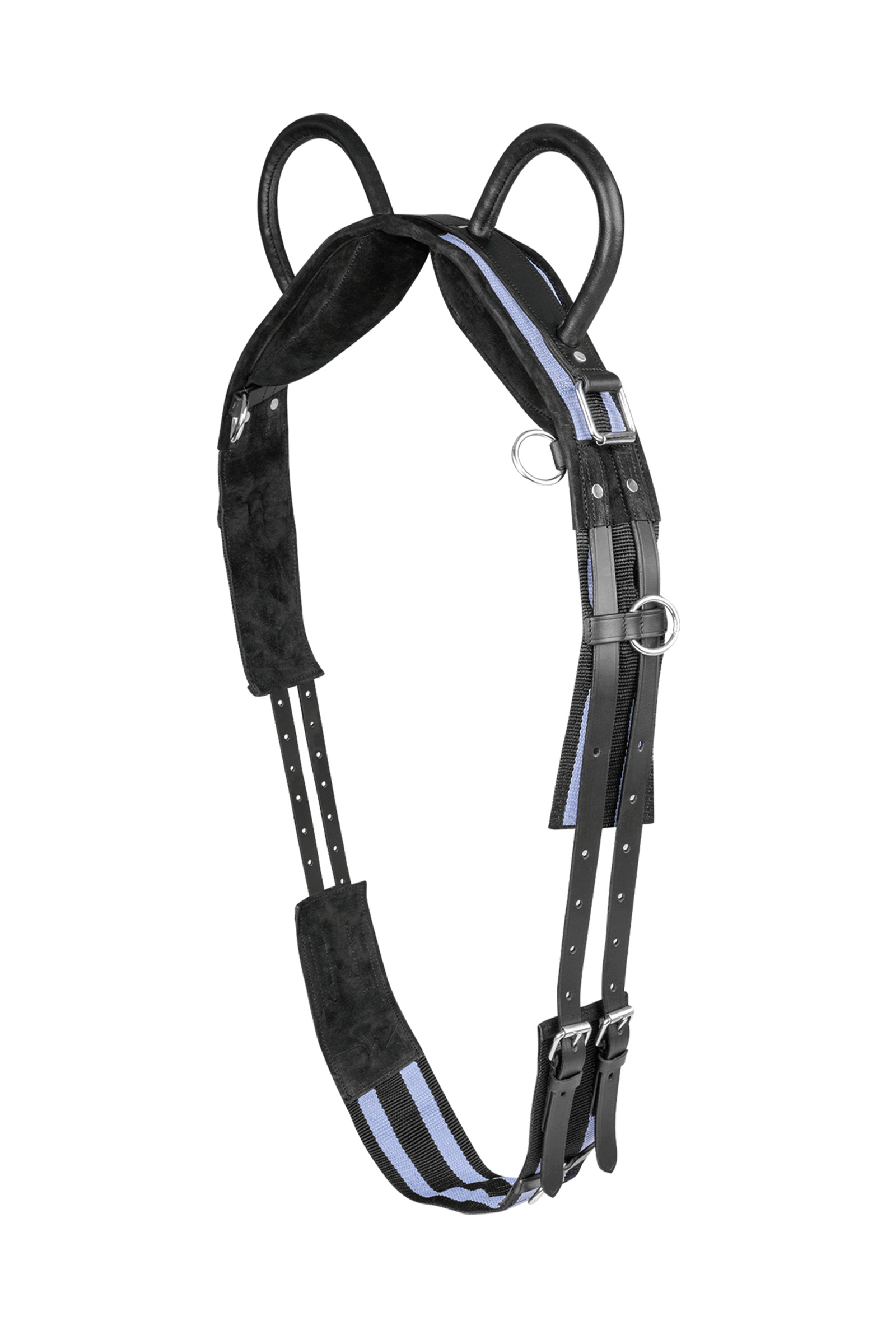 black/grey Surcingle Waldhausen con dos asas