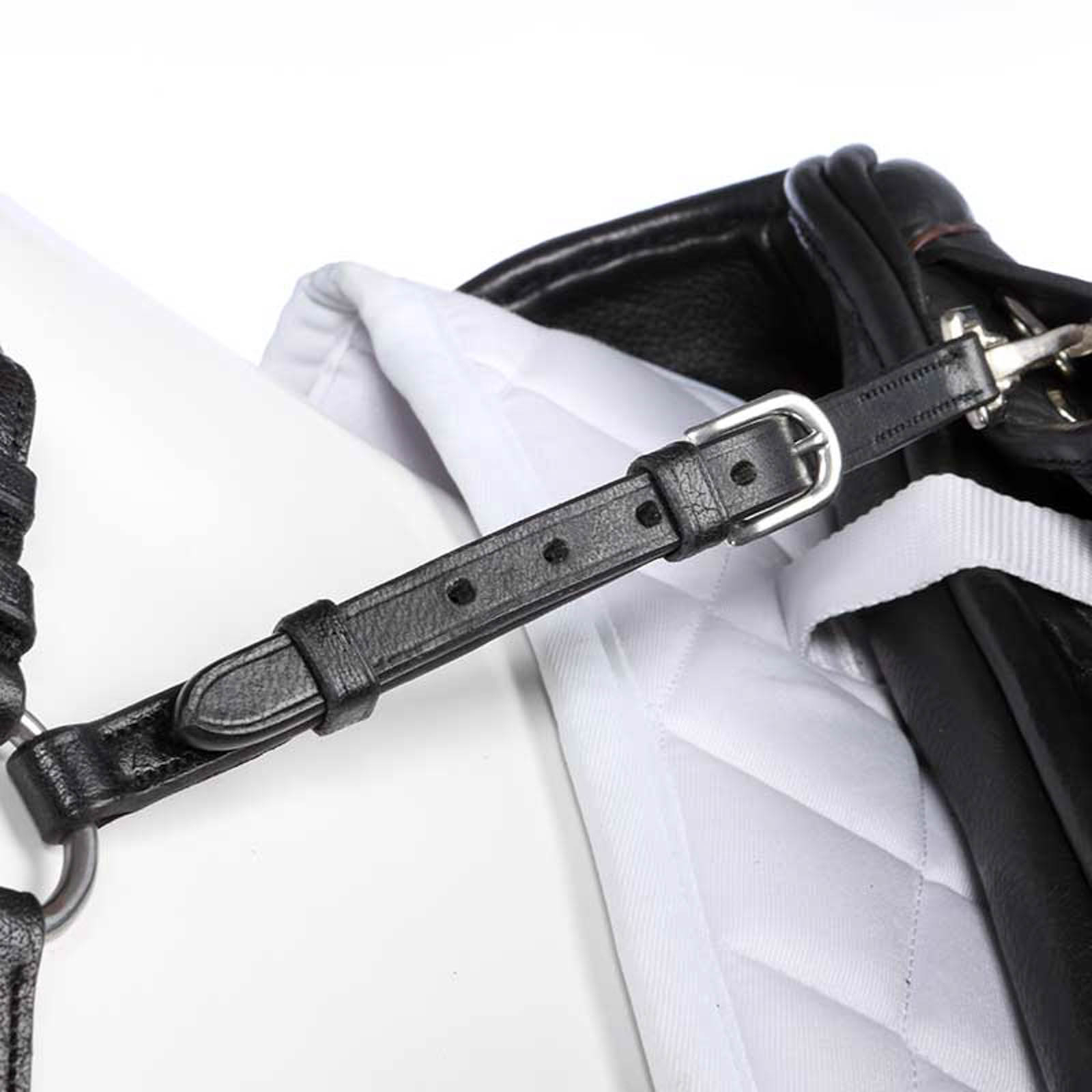 Coraza Kavalkade Diandro