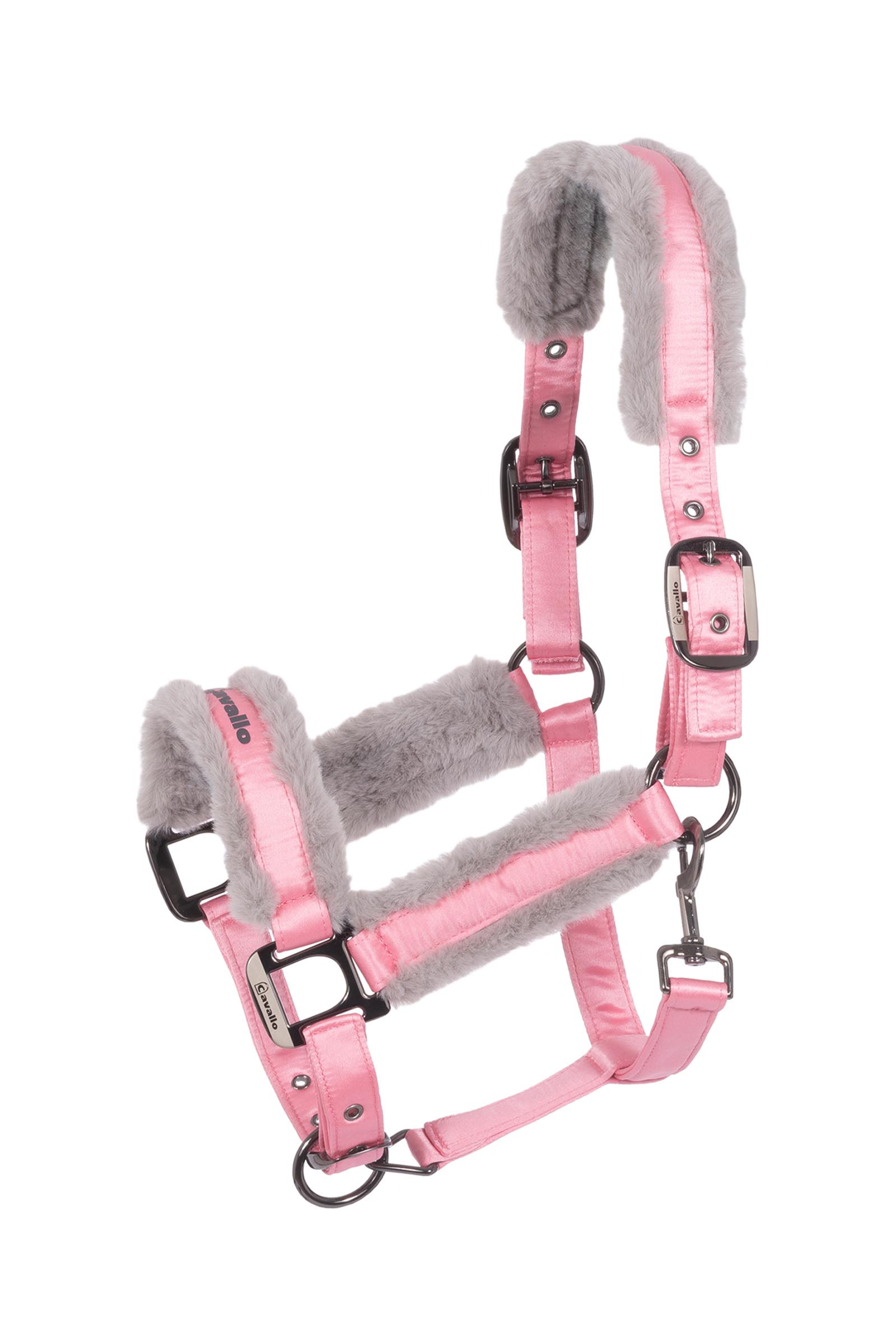 Powder Pink Cavallo CAVALJERO cabestro