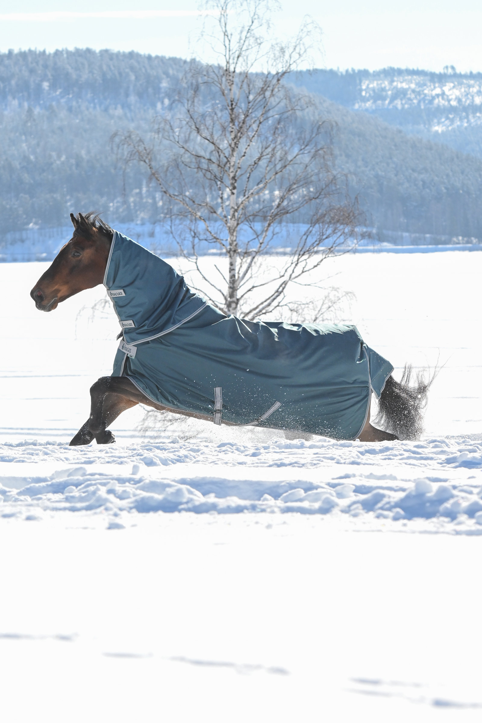 Bucas Atlantic cubre cuello para manta de exterior, 300 g