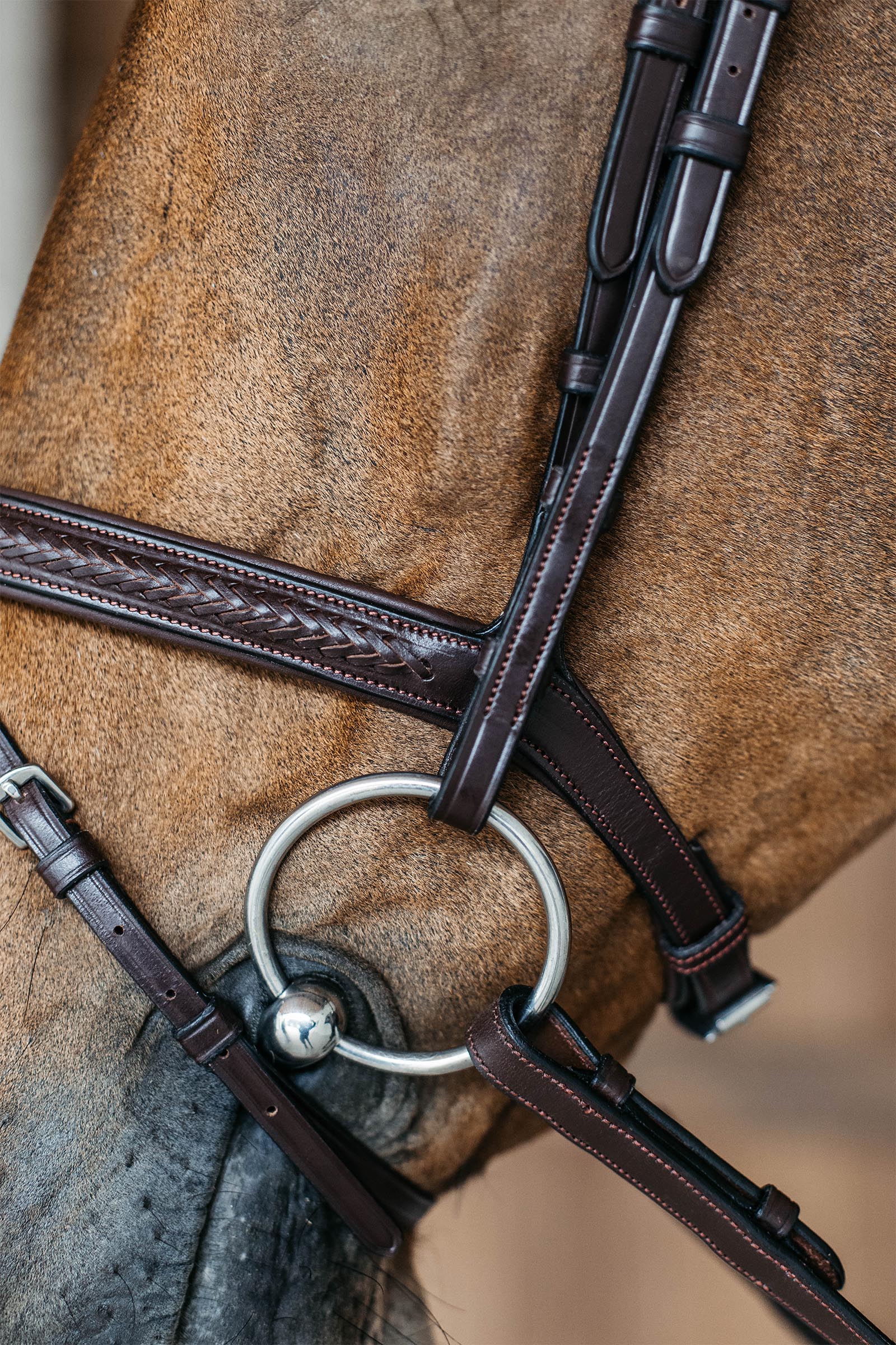 Dy'on New English cabezada trenzada con muserola combinada