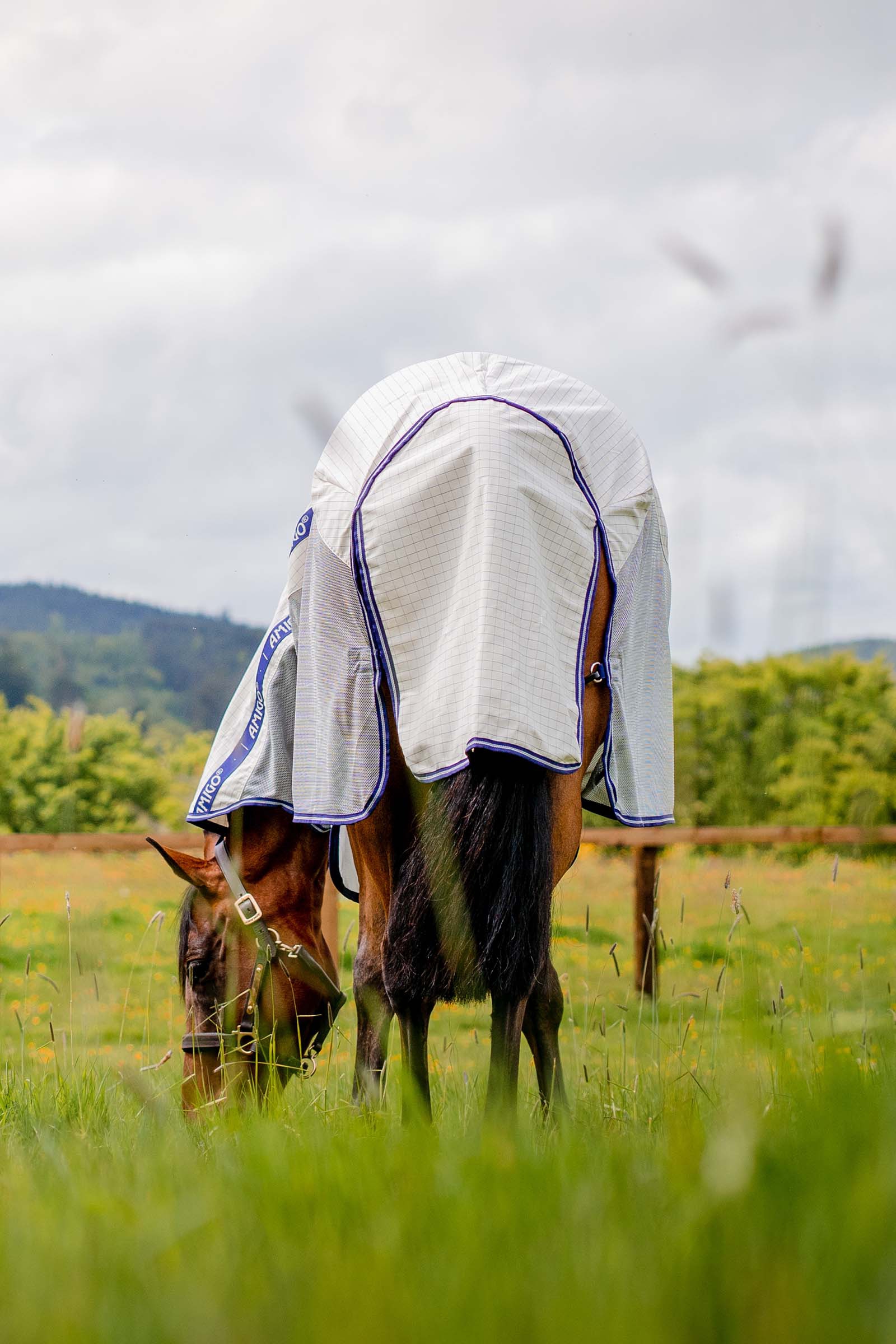 Horseware Amigo Airflow manta antimoscas con cuello desmontable