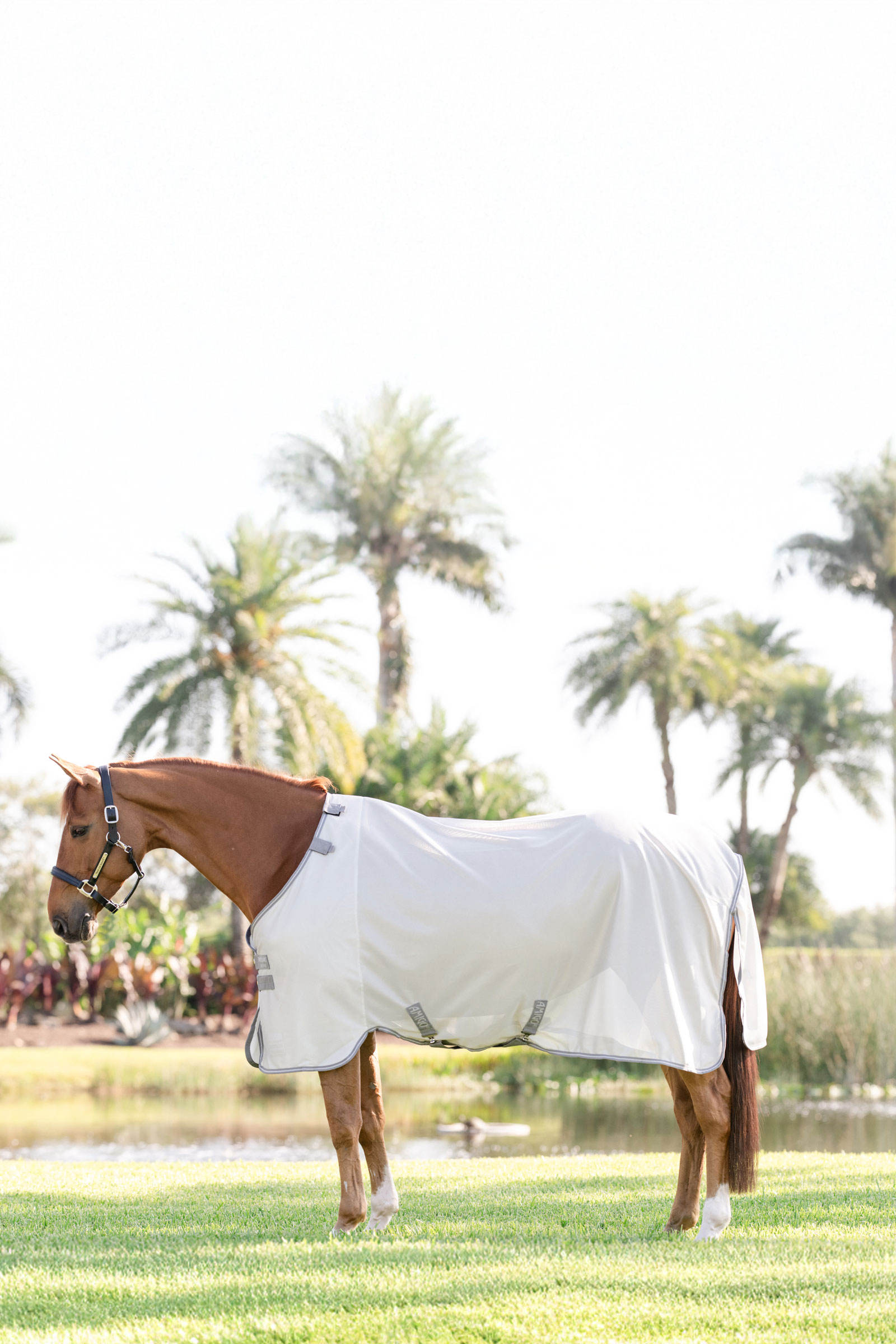 Horseware Amigo manta antimoscas con protecci&oacute;n UV