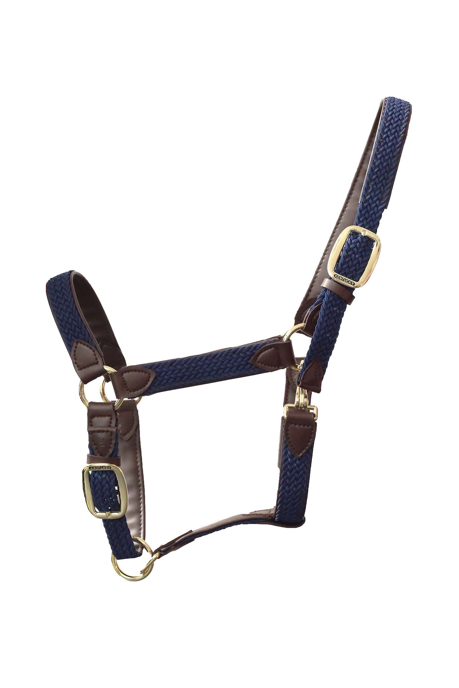 Halter de nailon trenzado de Kentucky