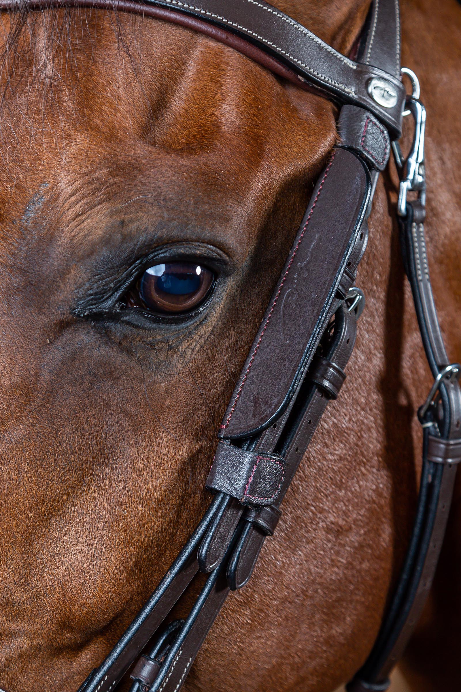 Dy'on Working mini anteojeras