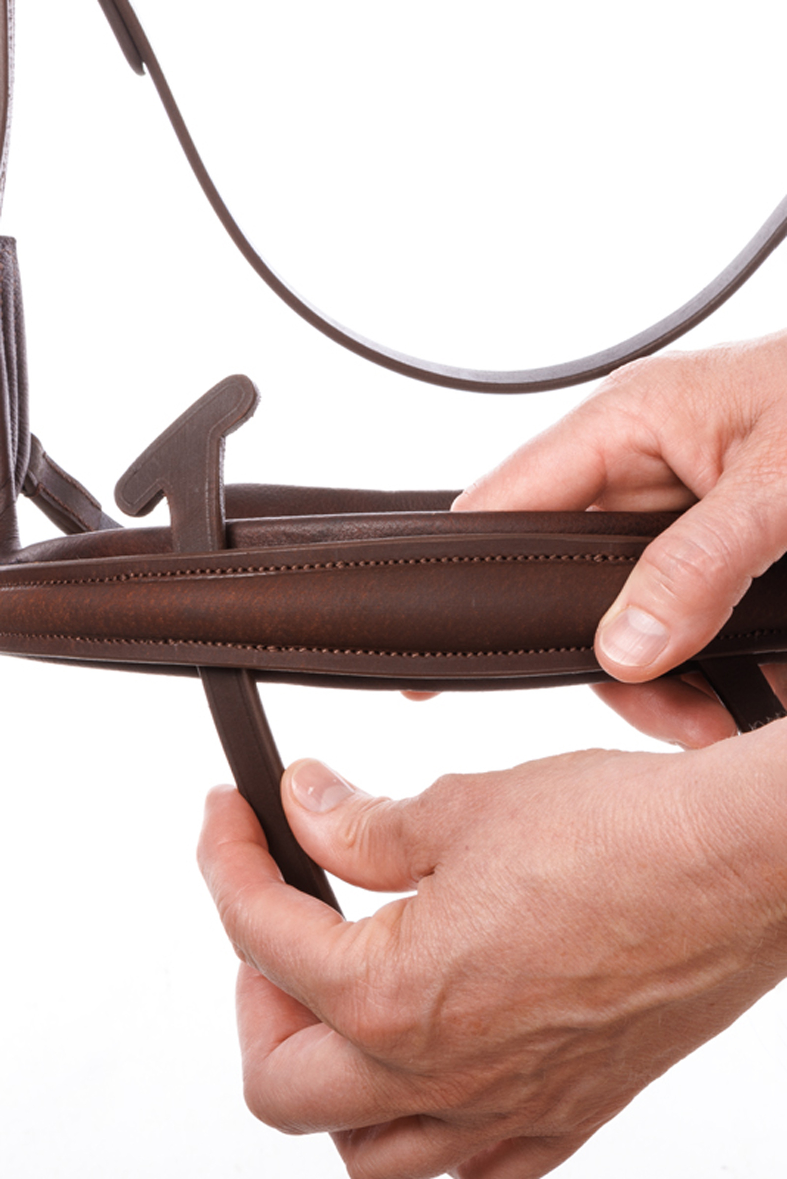 Kavalkade Caliano Brida Inglesa