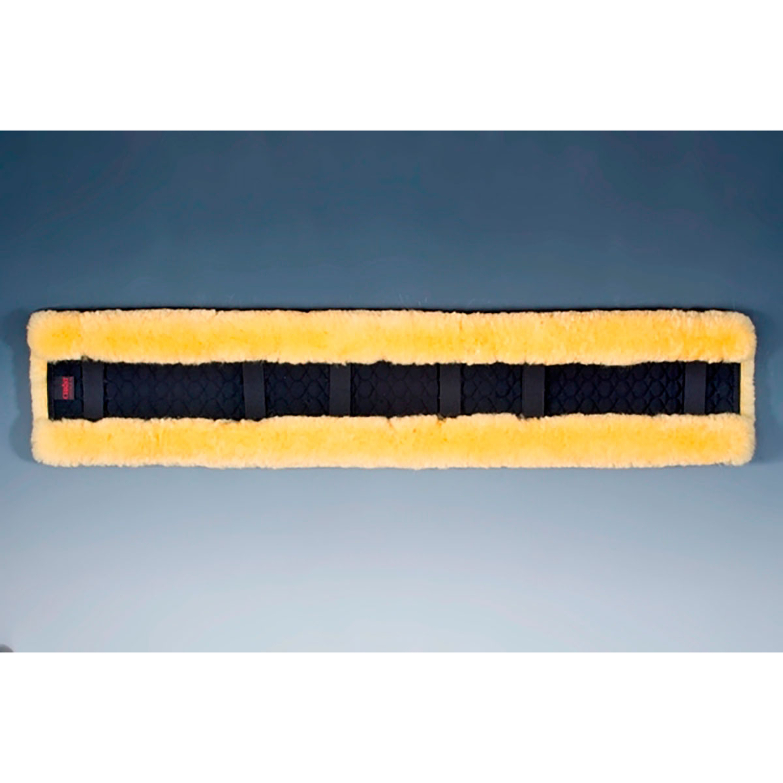 Funda para sillín de arnés de Cristo, 100