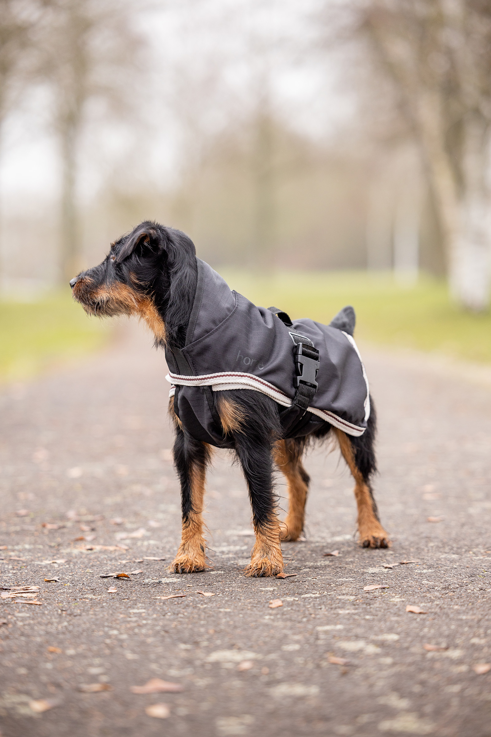 Manta para Perro 2-en-1 Horze Sudbury, 0g, 100g