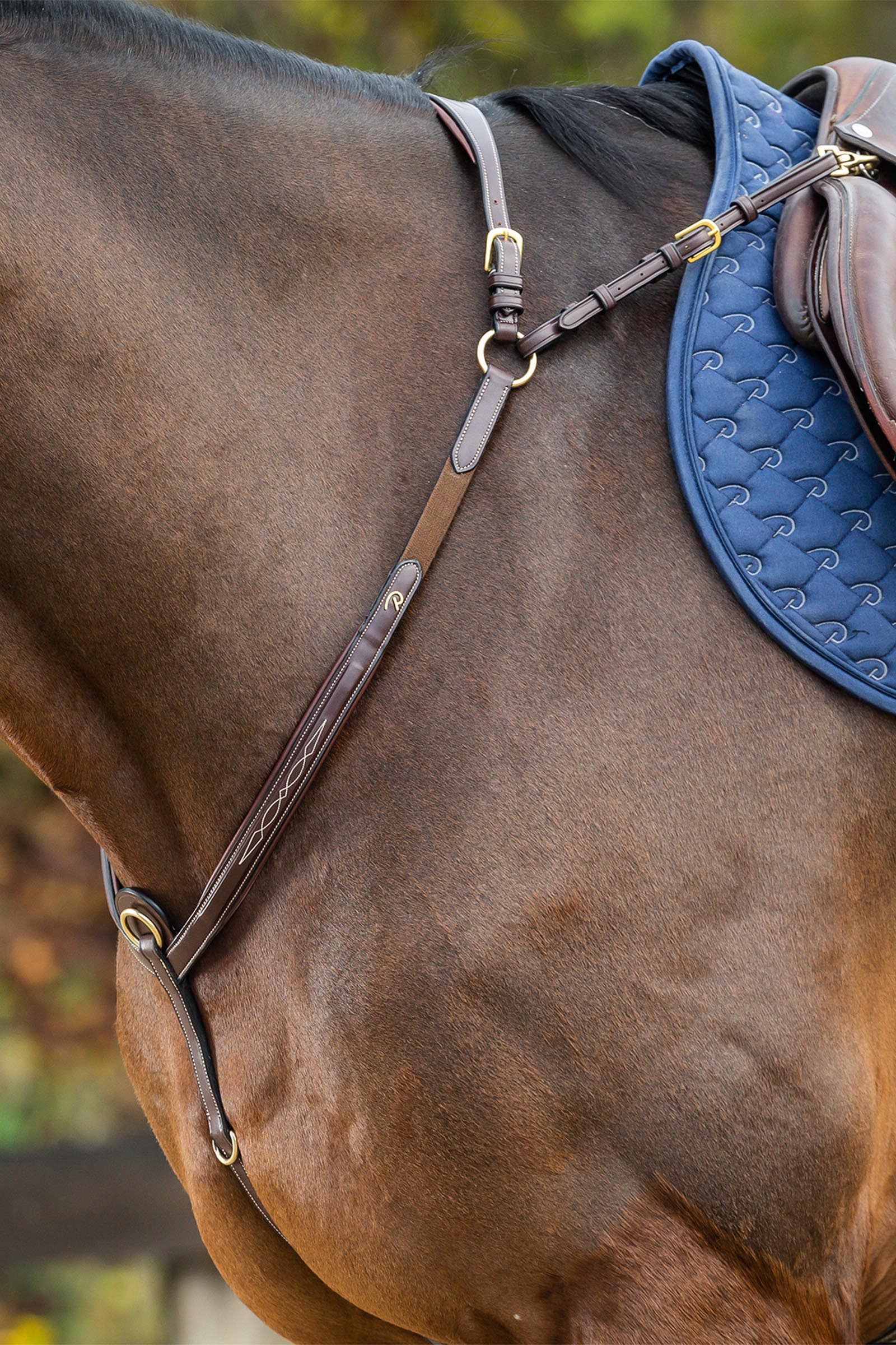 Dy'on D Collection pechopetral con puente