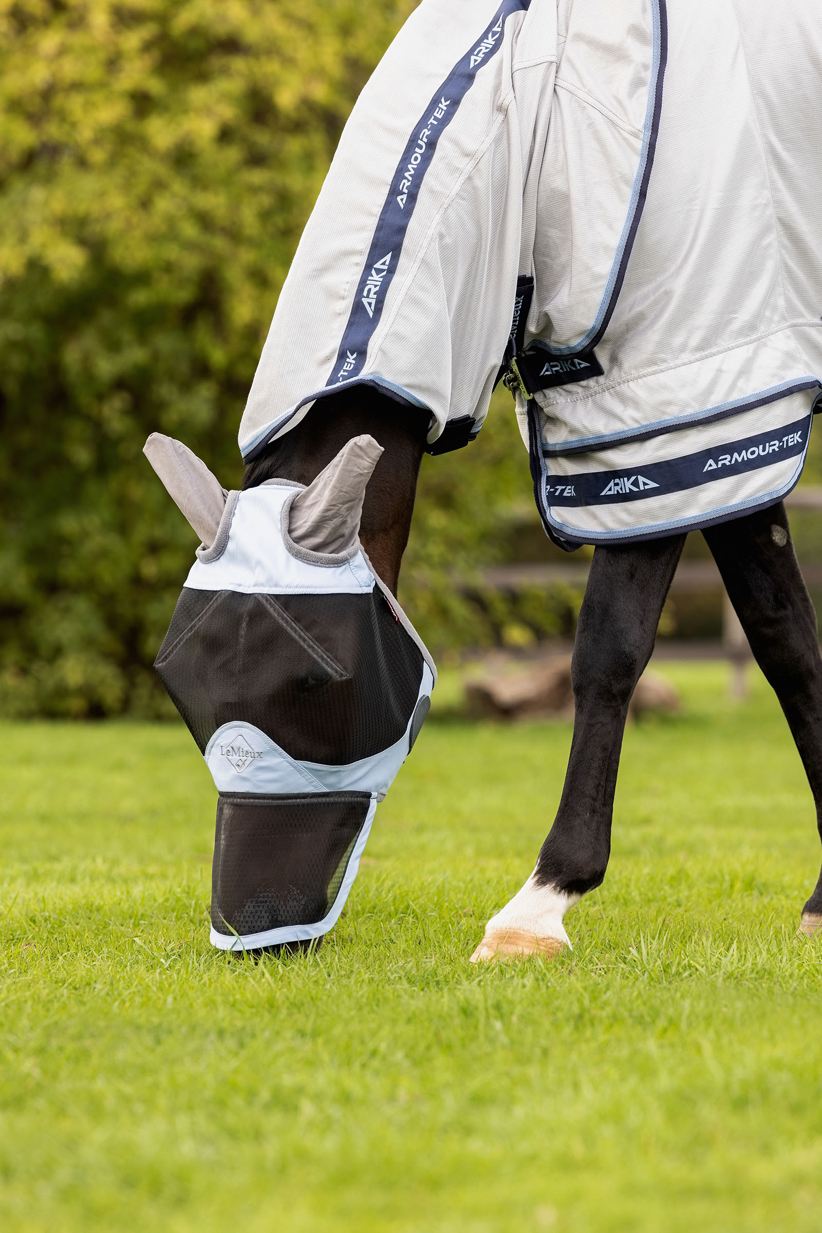 LeMieux Kudos Gladiator manta antimoscas