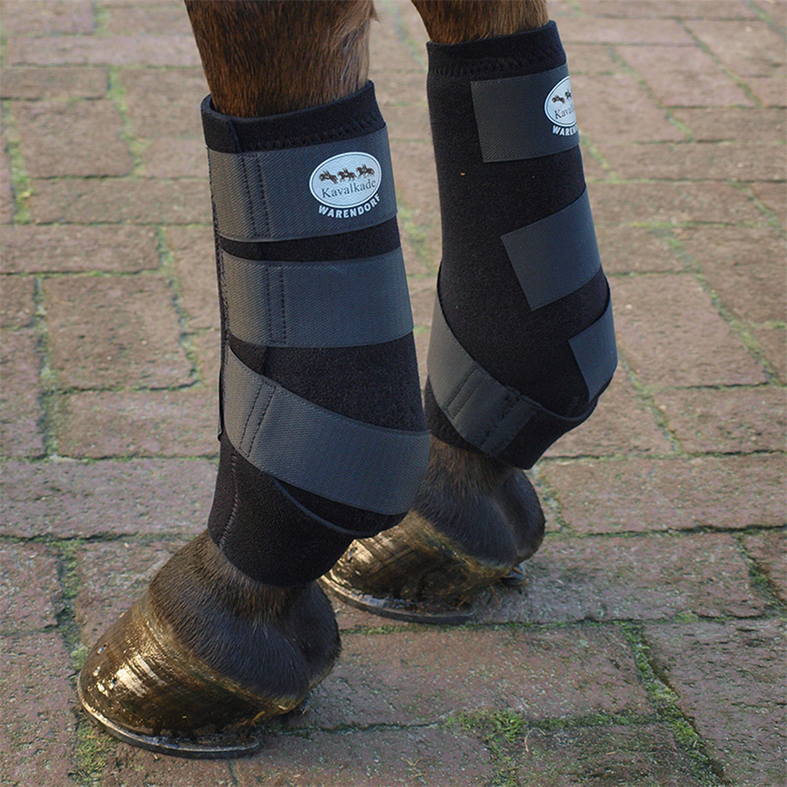 Botas cruzadas de neopreno Kavalkade