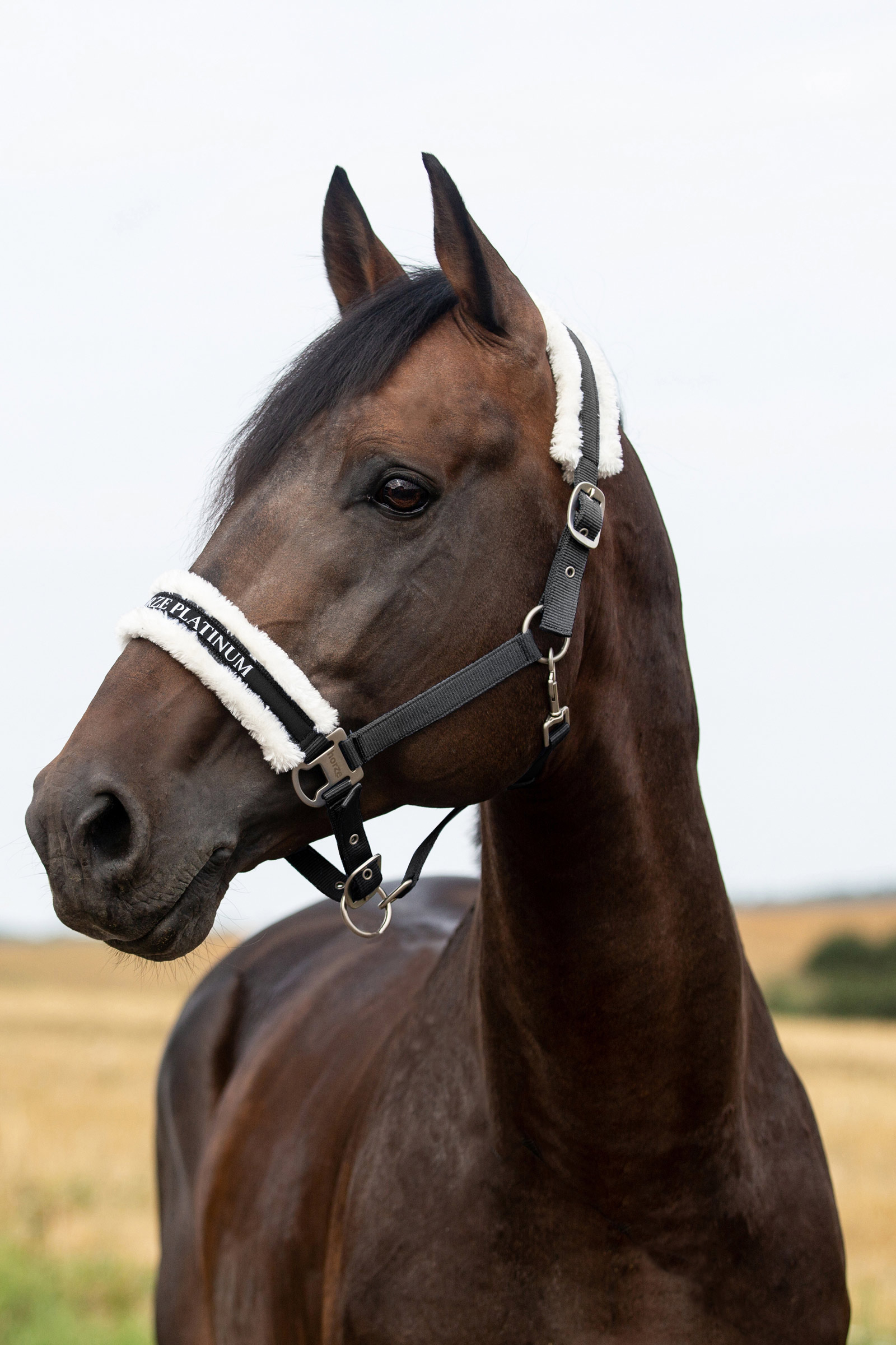 Horze Howard cabezada