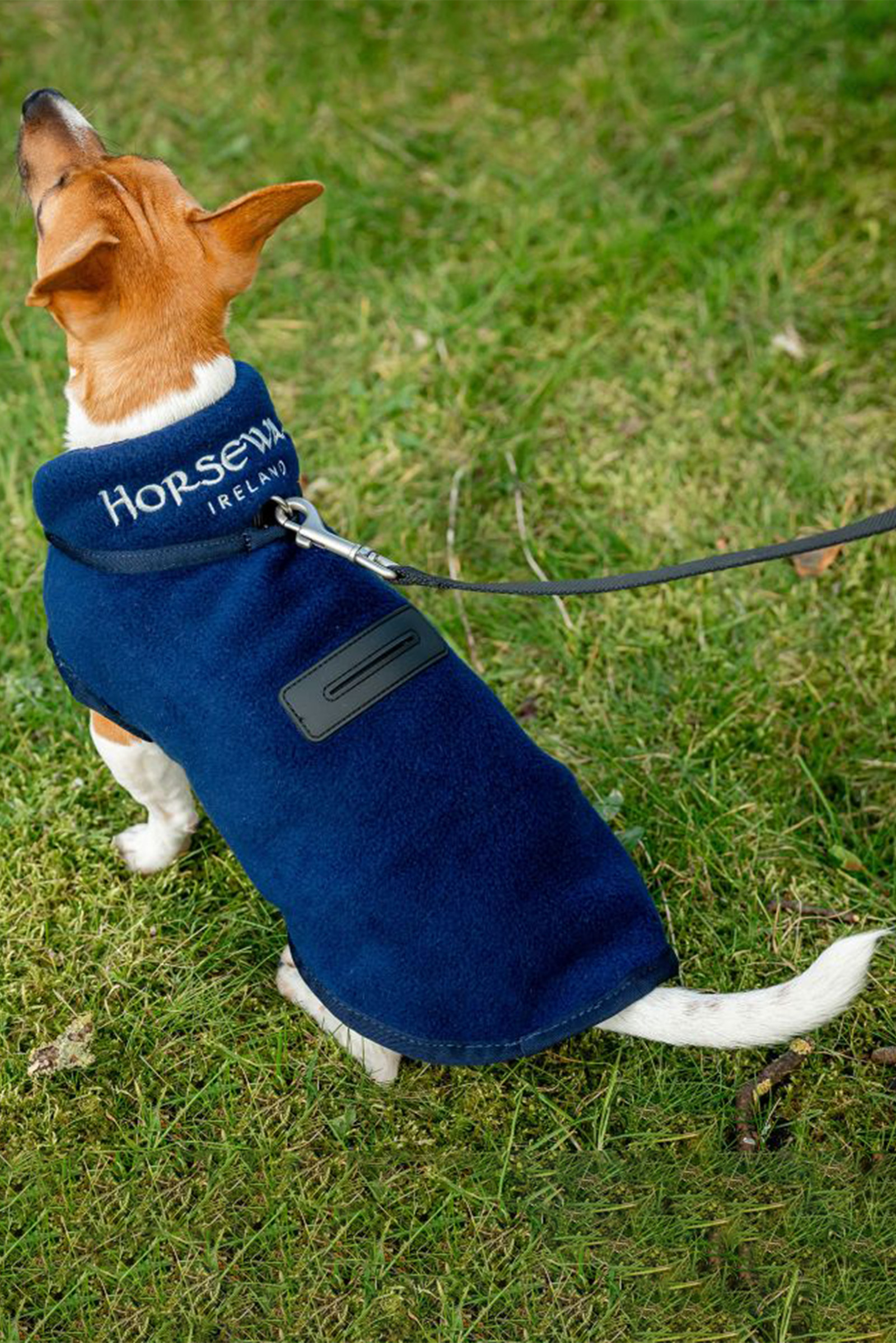 Manta de polar para perros Horseware Signature