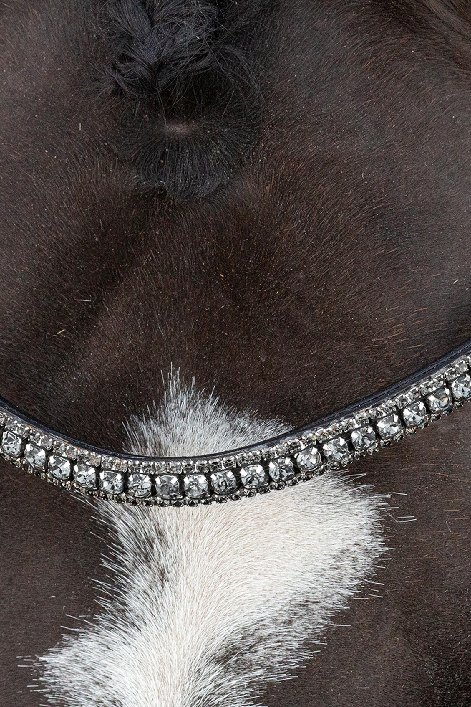 Schockem&ouml;hle Sports Brindisi Cabeza de Doma con Doble Rienda