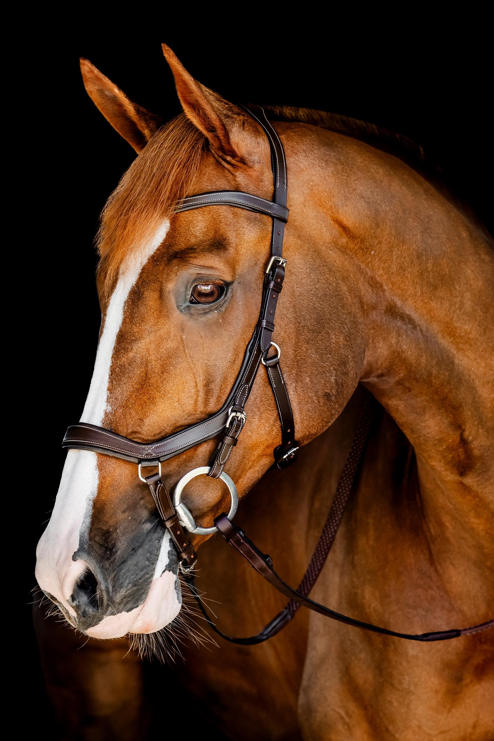 Horseware Rambo Micklem cabezada de competici&oacute;n