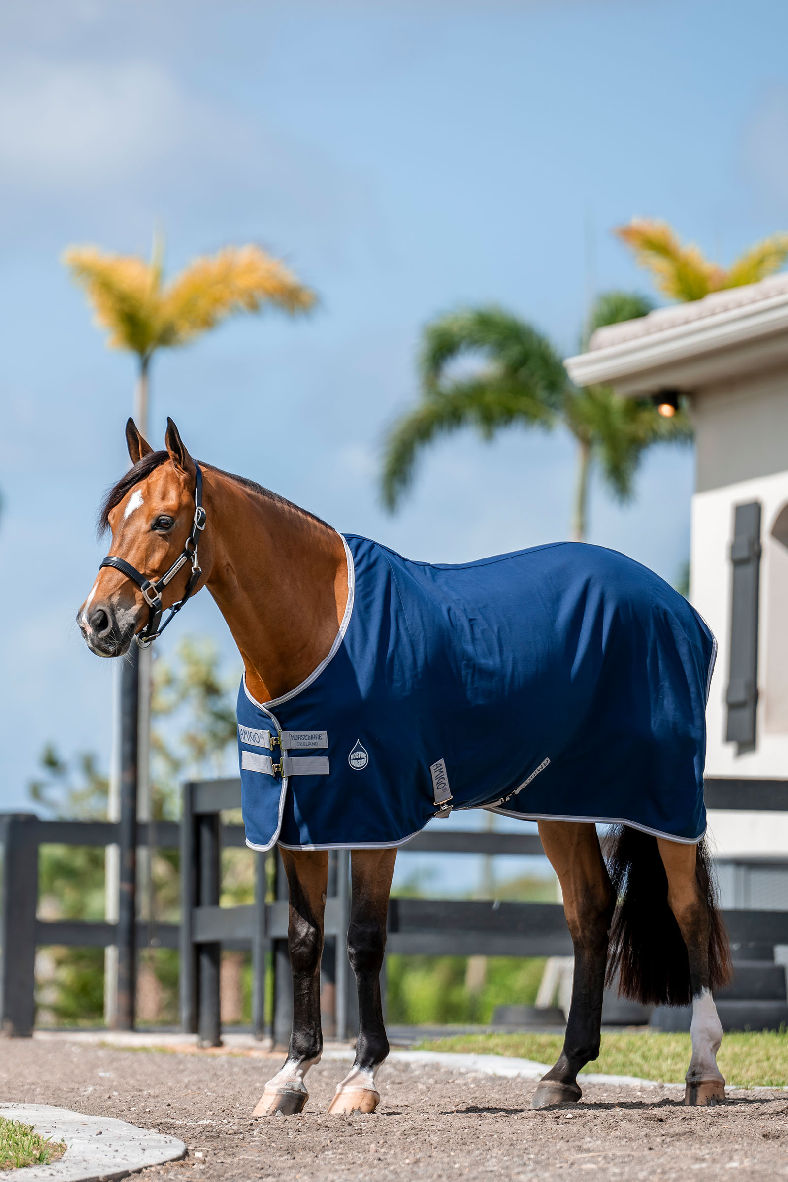 Horseware Amigo Manta de Cuadra, 0g