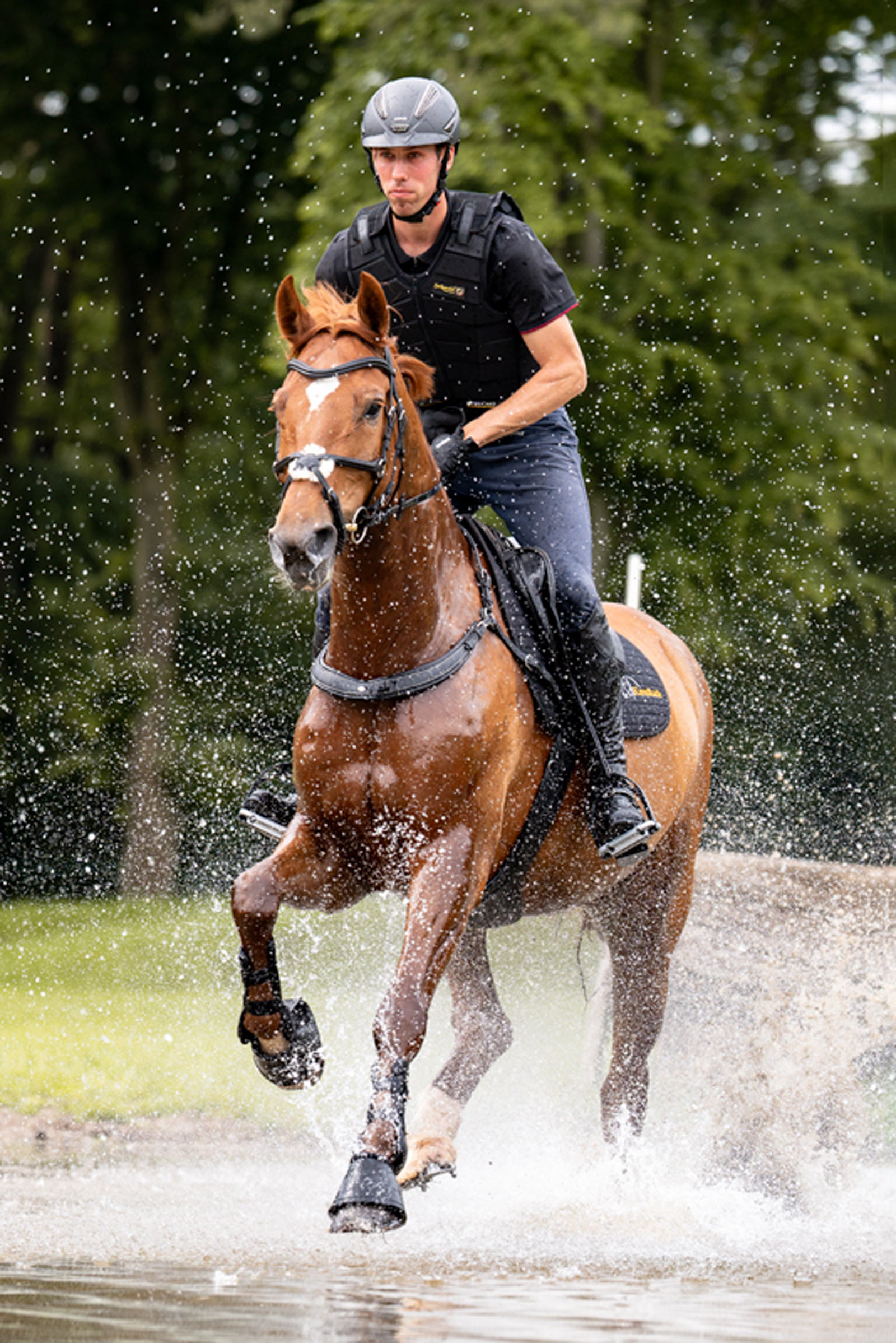 Kavalkade Jerome Pechera de 2 Puntos