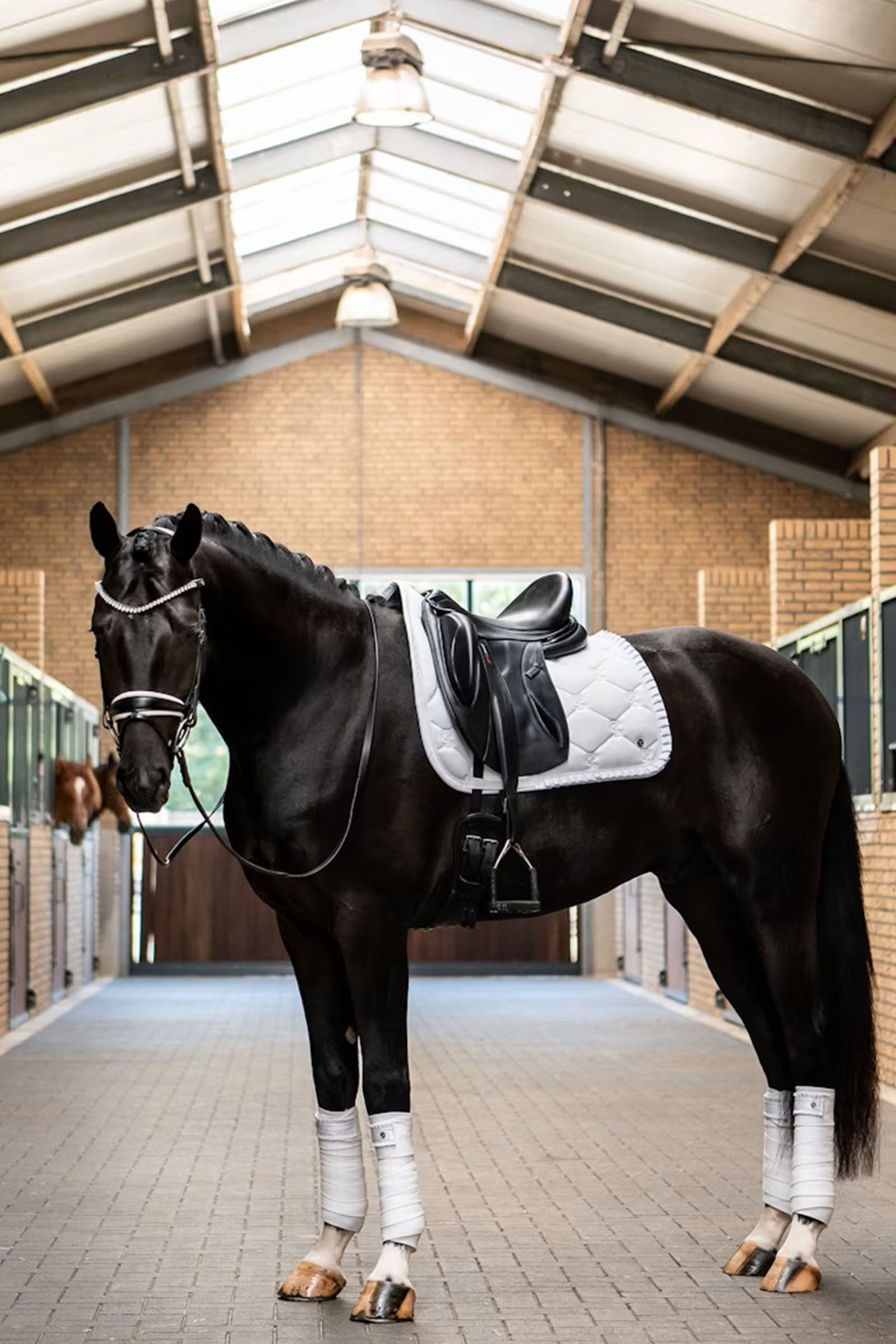 PS of Sweden mantilla de doma Ruffle