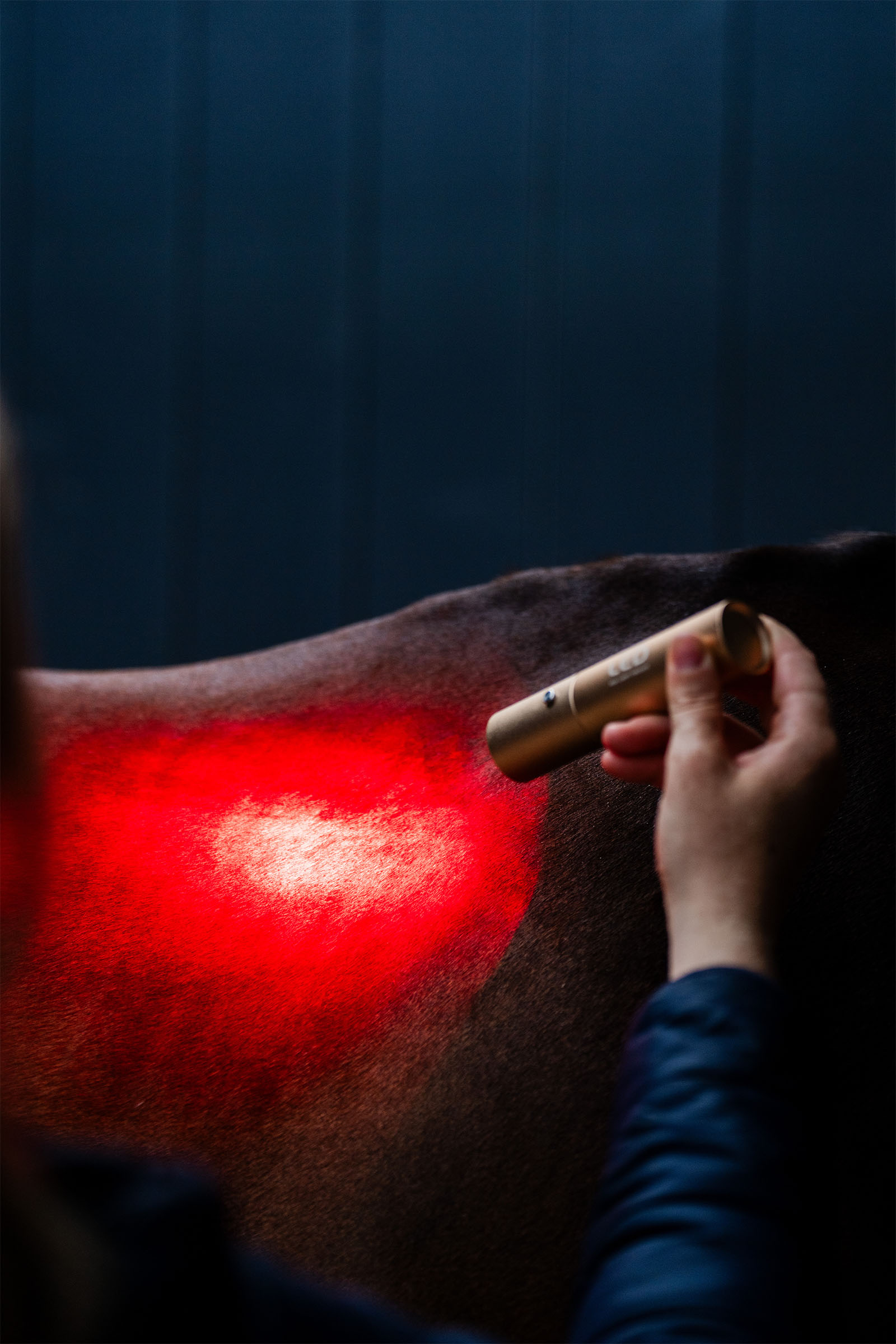 Horseware Varita terapéutica LED de luz roja