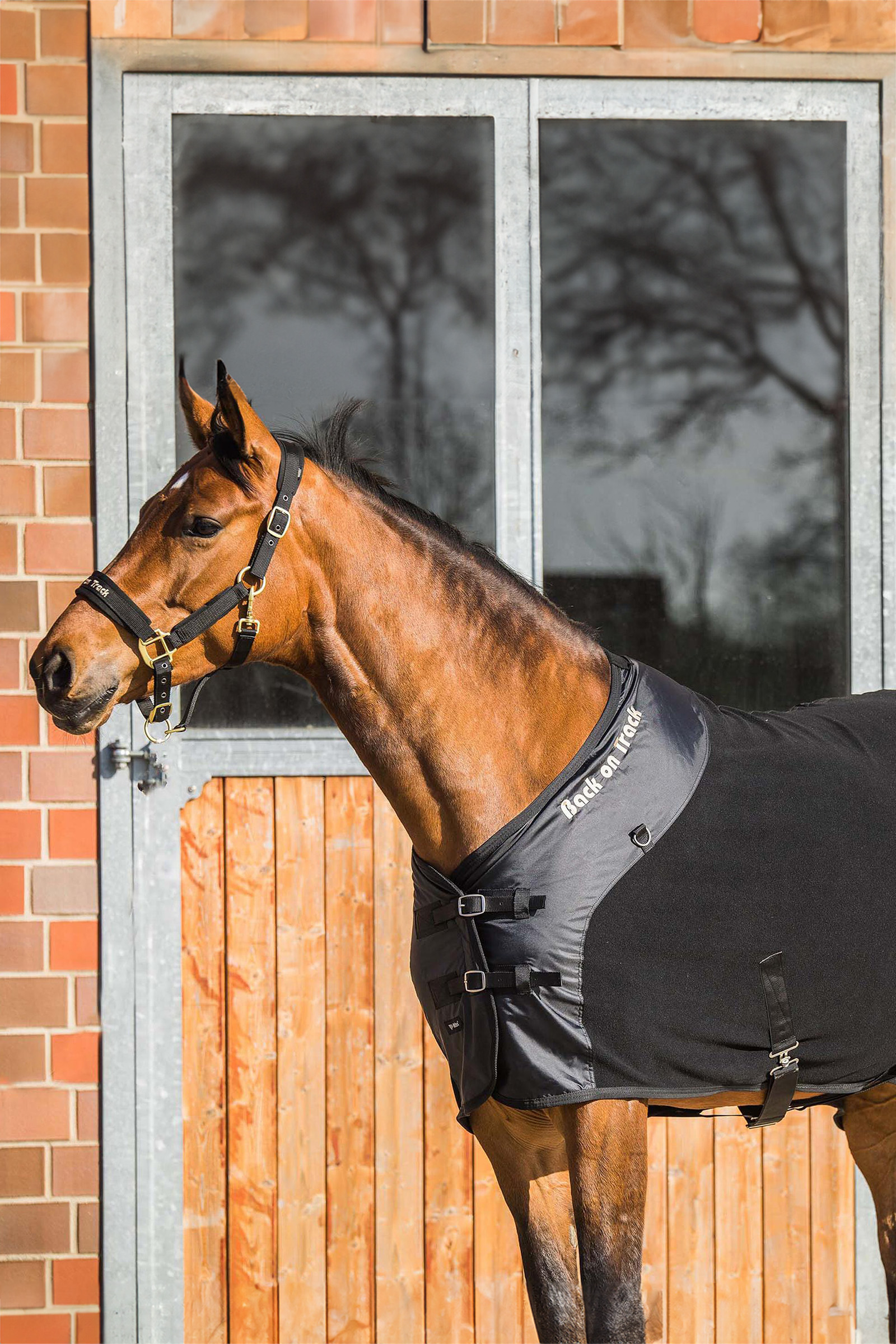 Manta Polar Back on Track Supreme