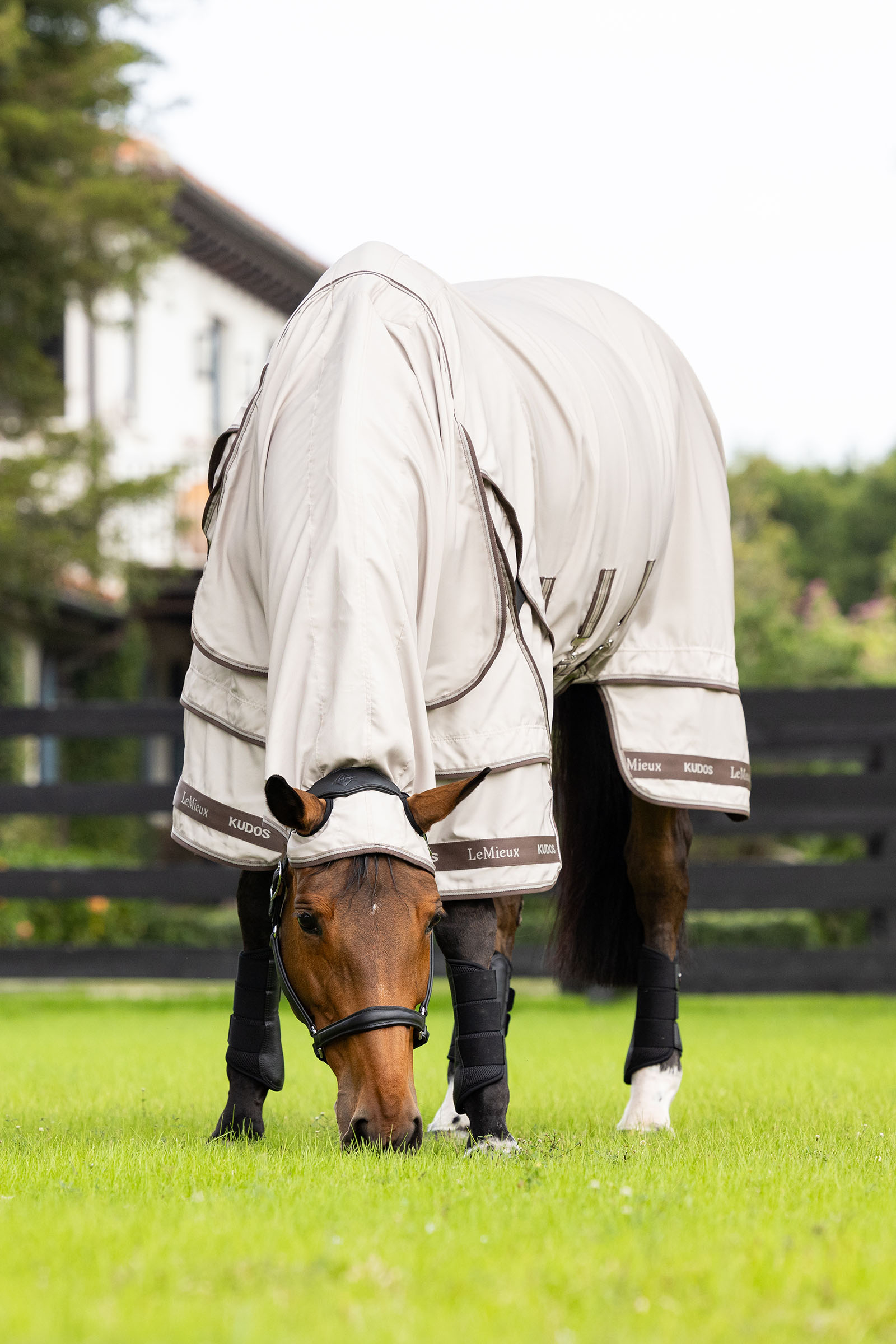 LeMieux Kudos manta para eccema estival