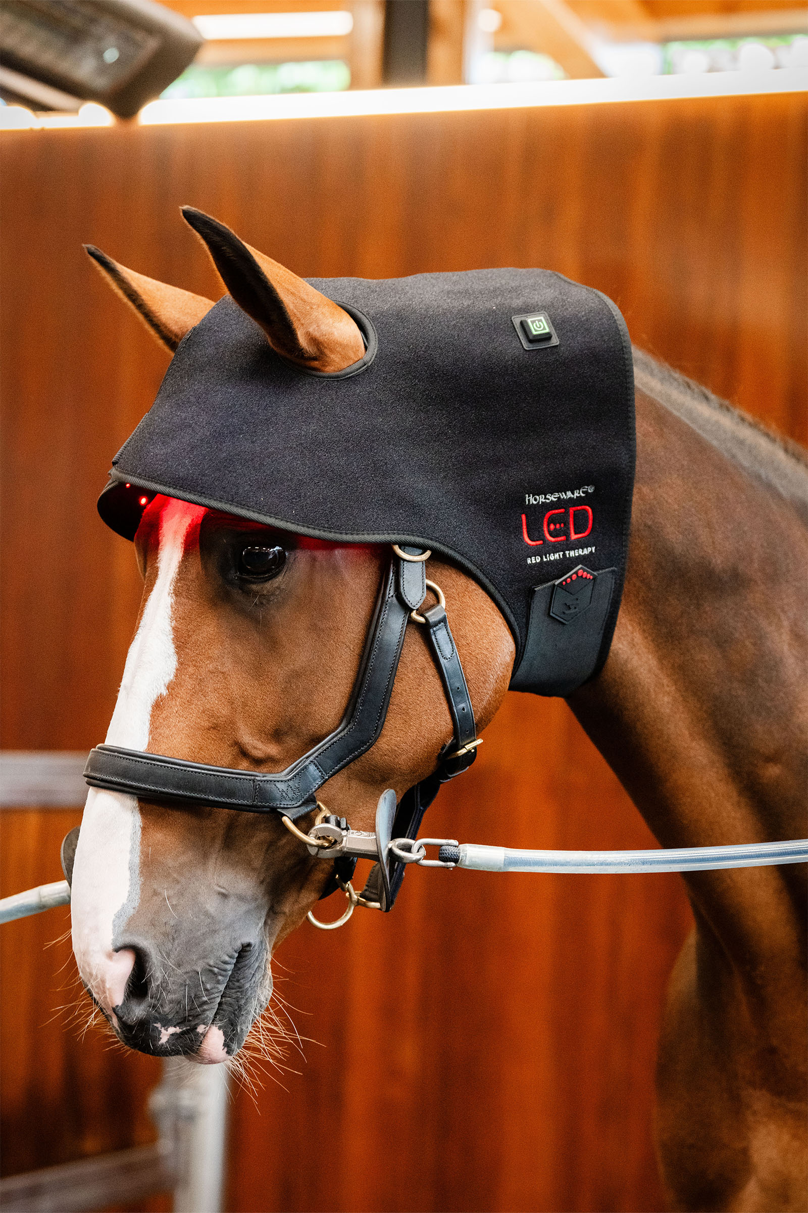 Horseware gorra terap&eacute;utica LED de luz roja para la nuca