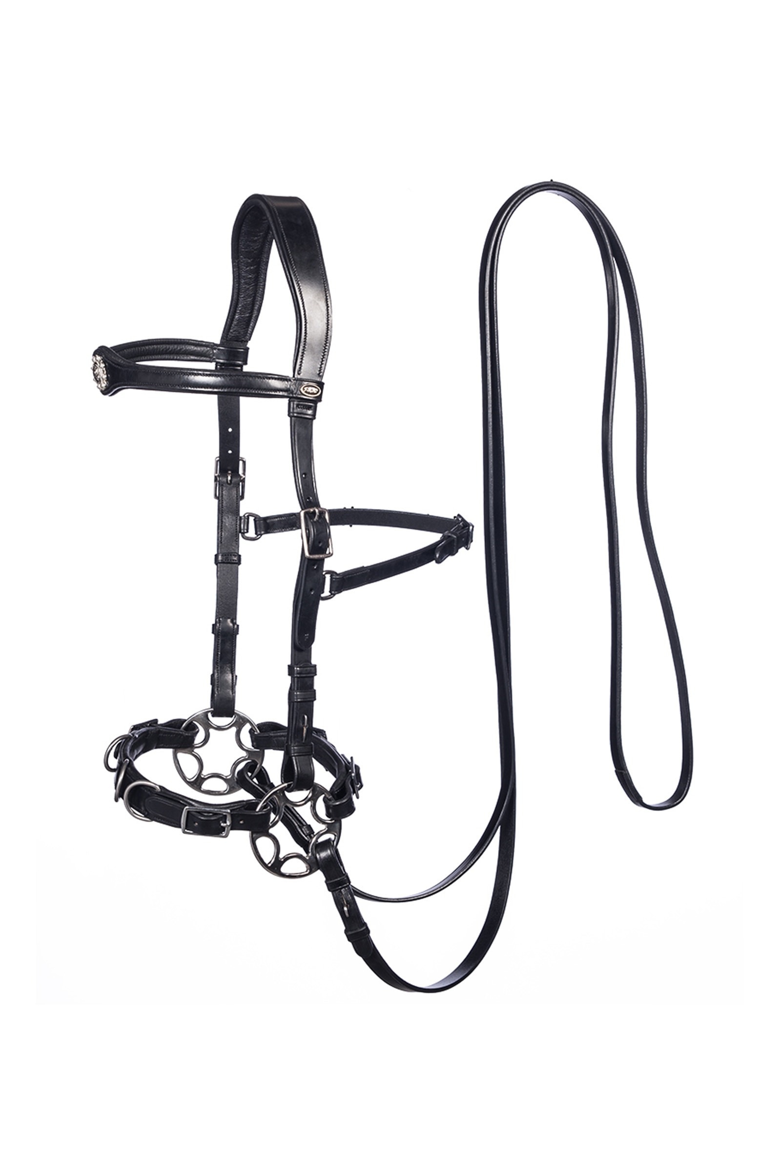F.R.A. Freedom Riding Articles Caval Compl. Brida Cavemore (Syst.2) con tijeras y riendas