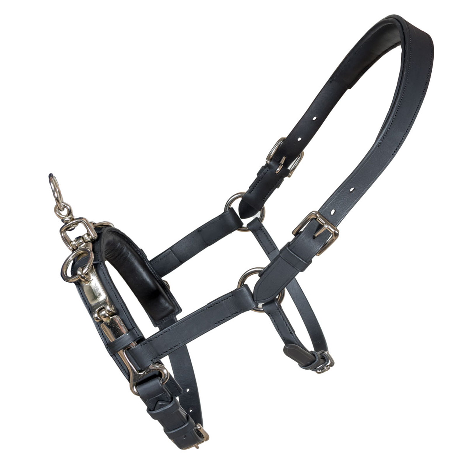 Karlslund Fengur Cabezada Kapsun