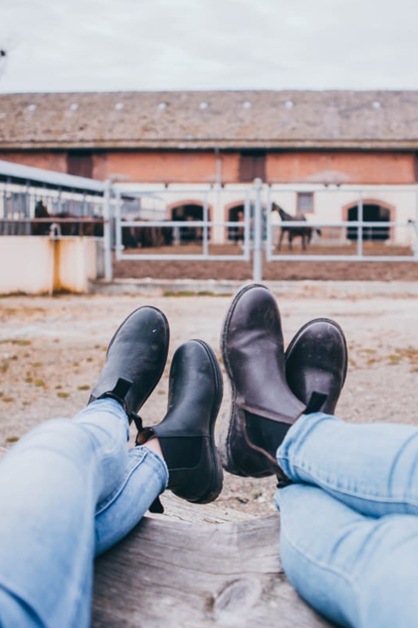 Suedwind Footwear 1888 Botas Chelsea Jodhpur