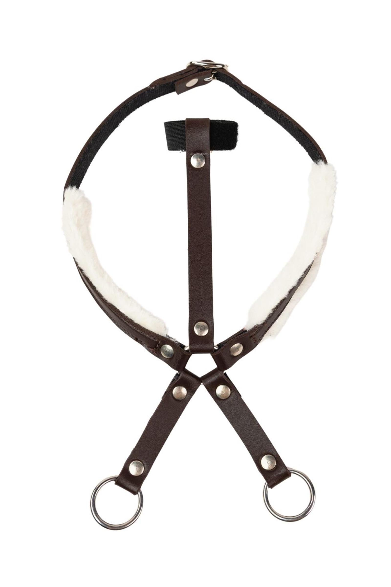 Brown My Hobby Horse martingala