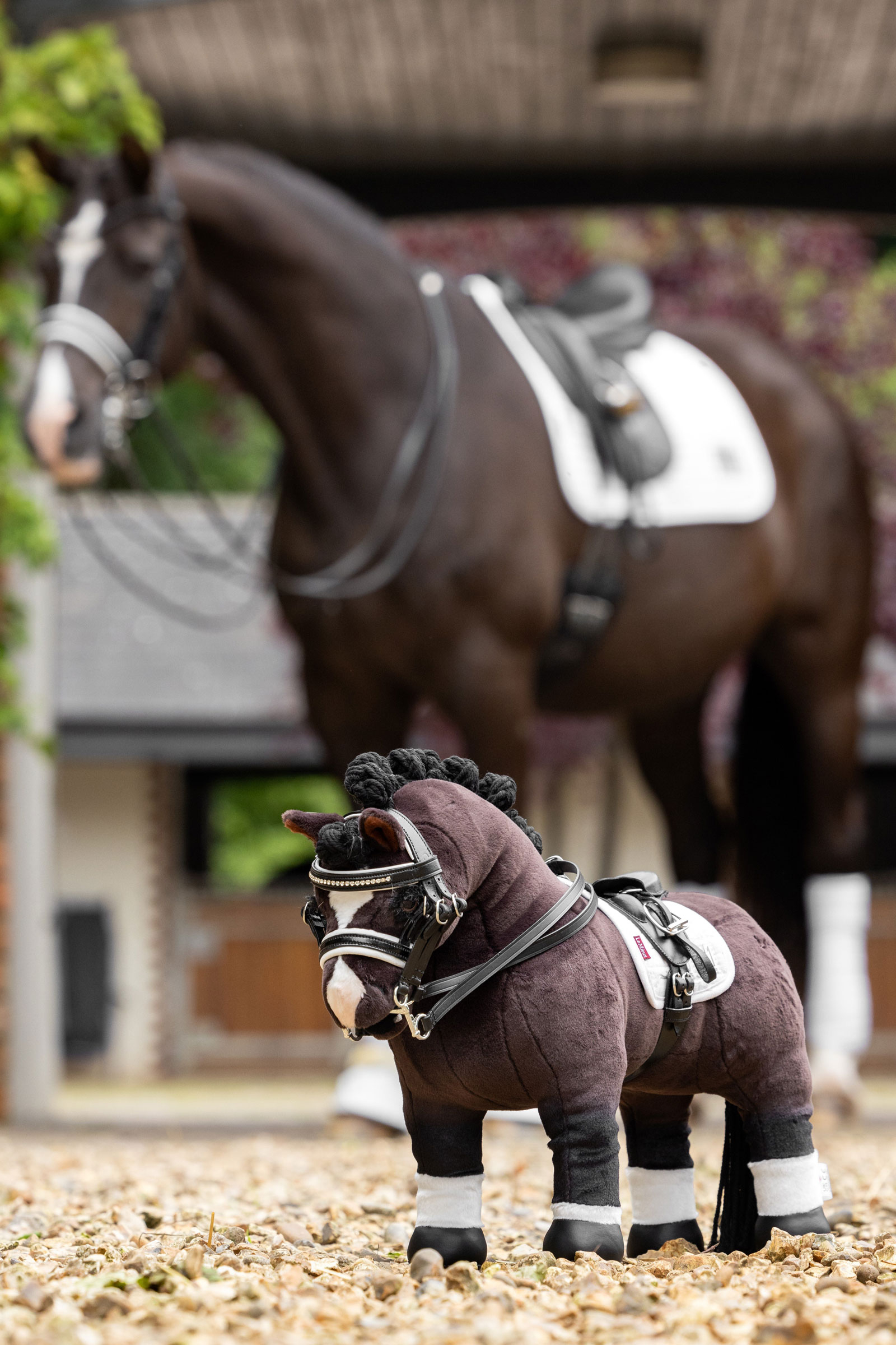 LeMieux Toy Pony brida doble