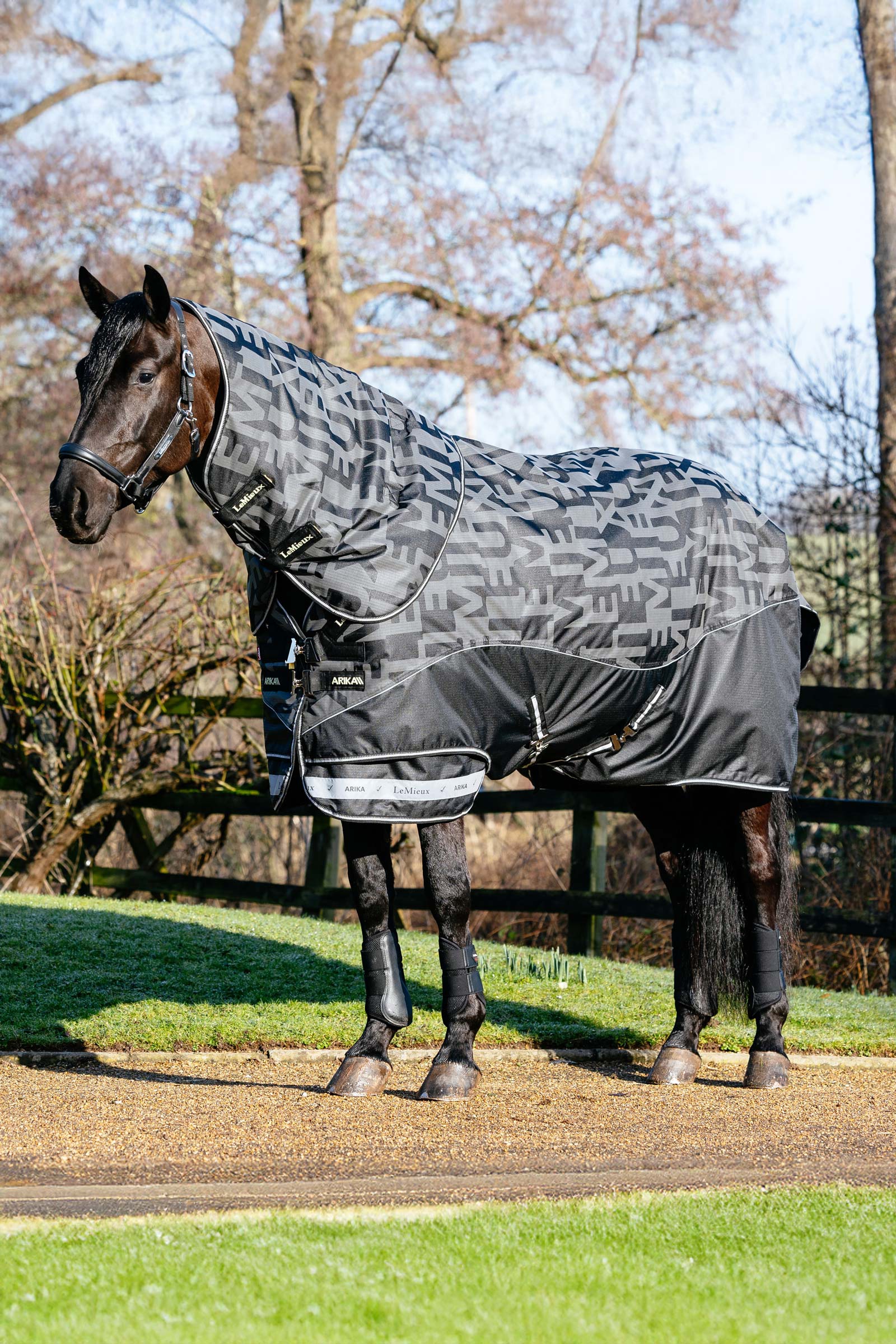 LeMieux Arika Reflective Turnout Rug With Detachable Neck, 100 g