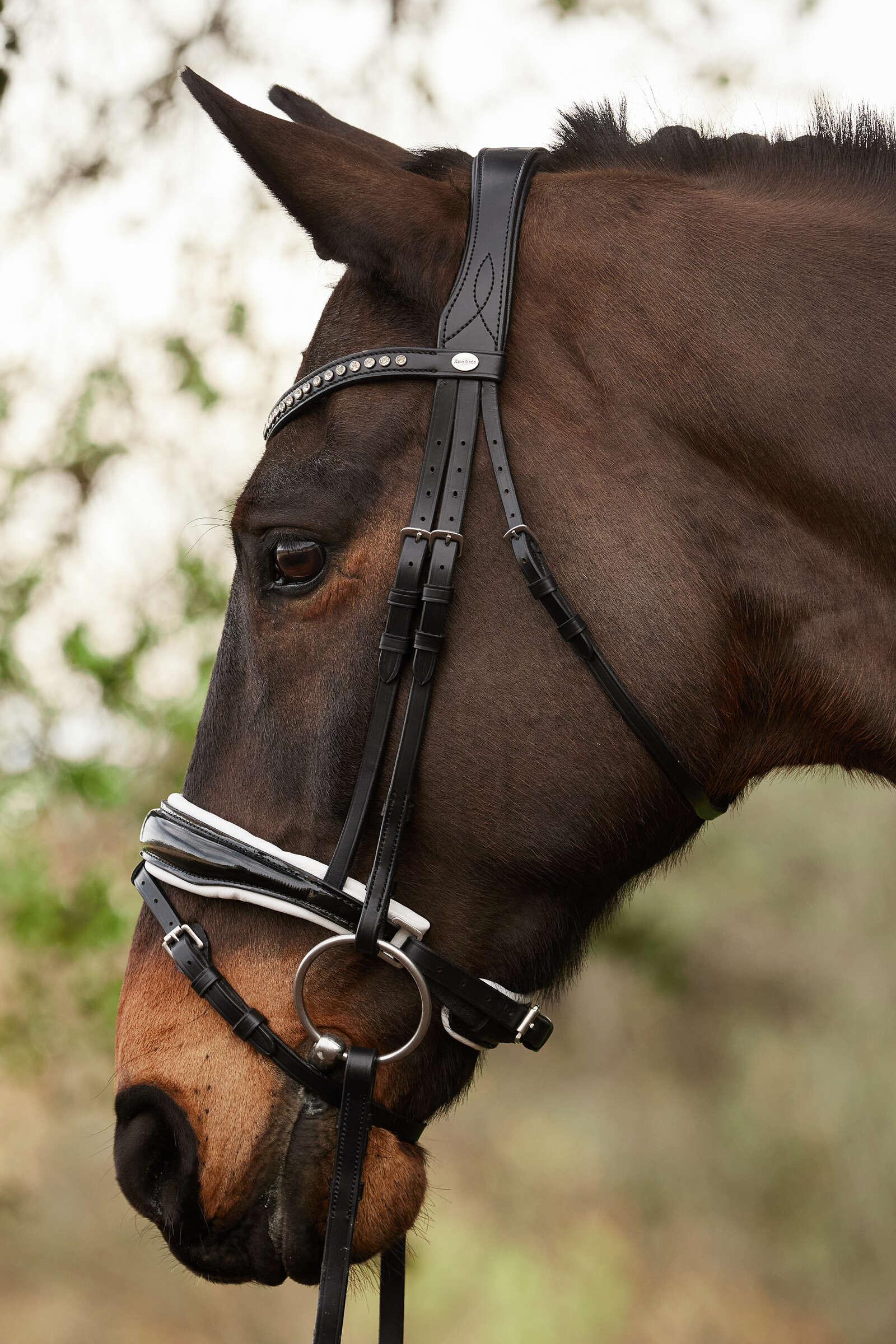 Kavalkade Charlotte Dressage Bridle Crank Noseband