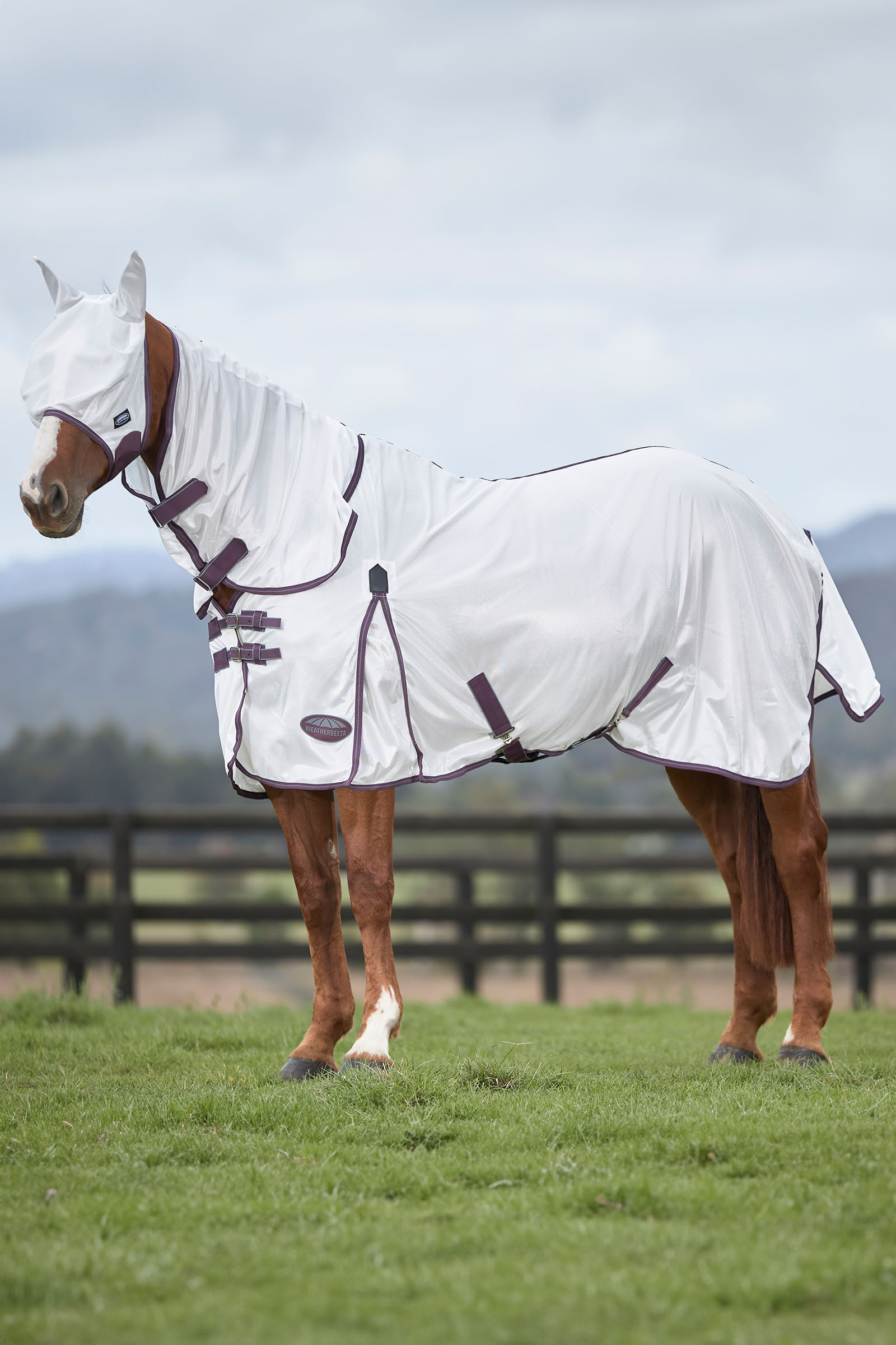 Weatherbeeta Comfitec Essential máscara de malla