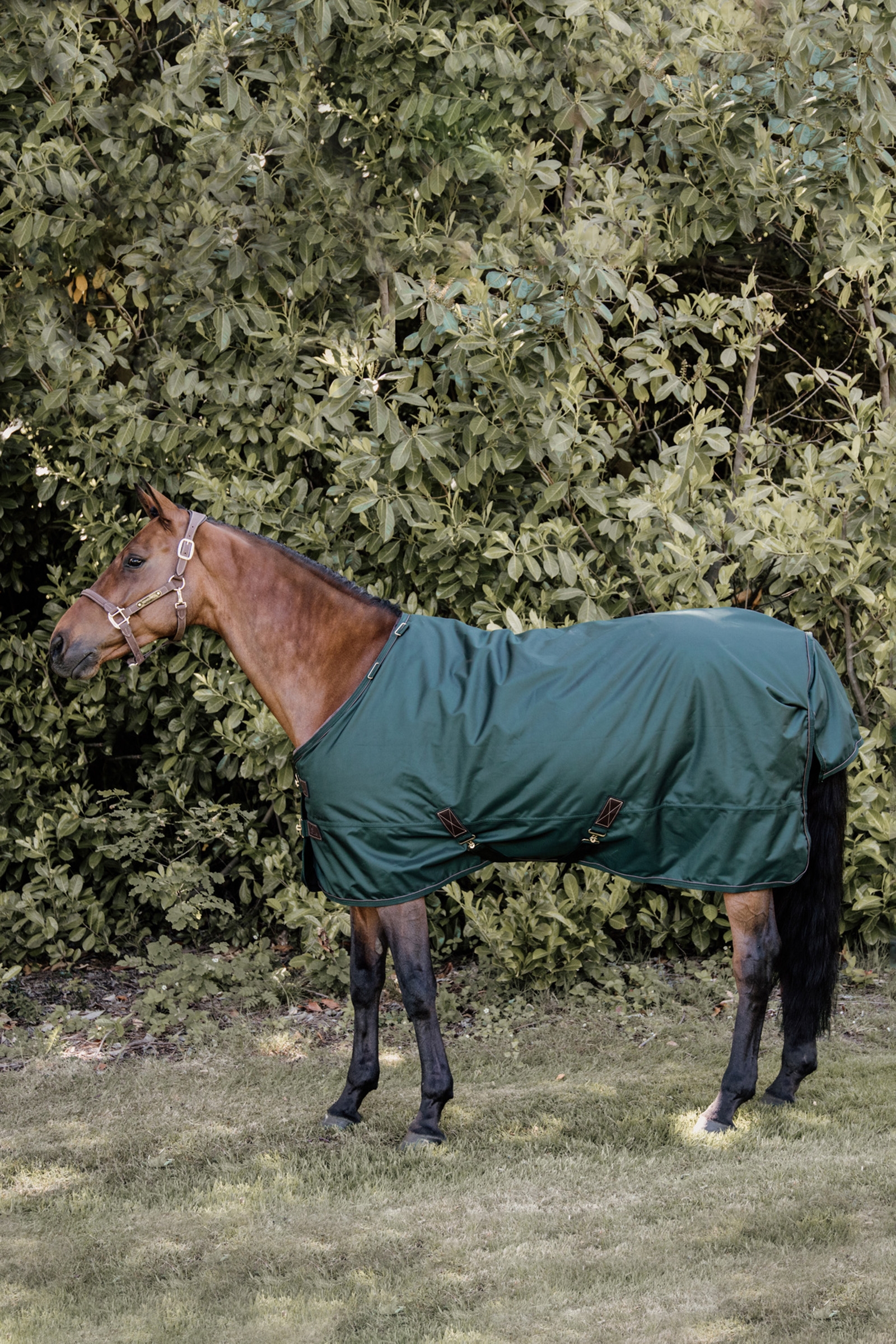 Manta de Exterior Kentucky Horsewear All Weather, 160g