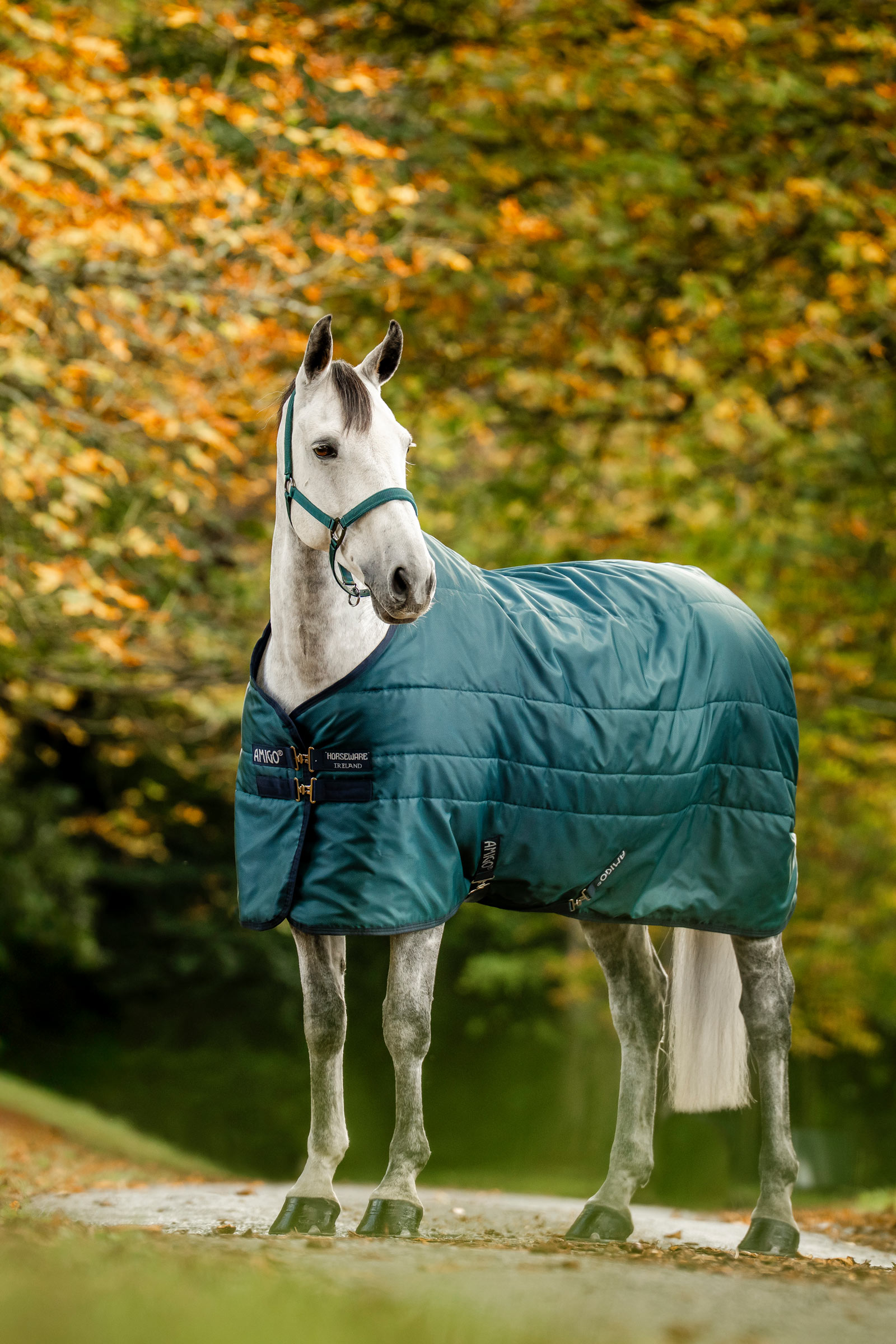 Dynasty Green/Navy/Silver Horseware Amigo Ripstop Insulator manta de establo, 200g