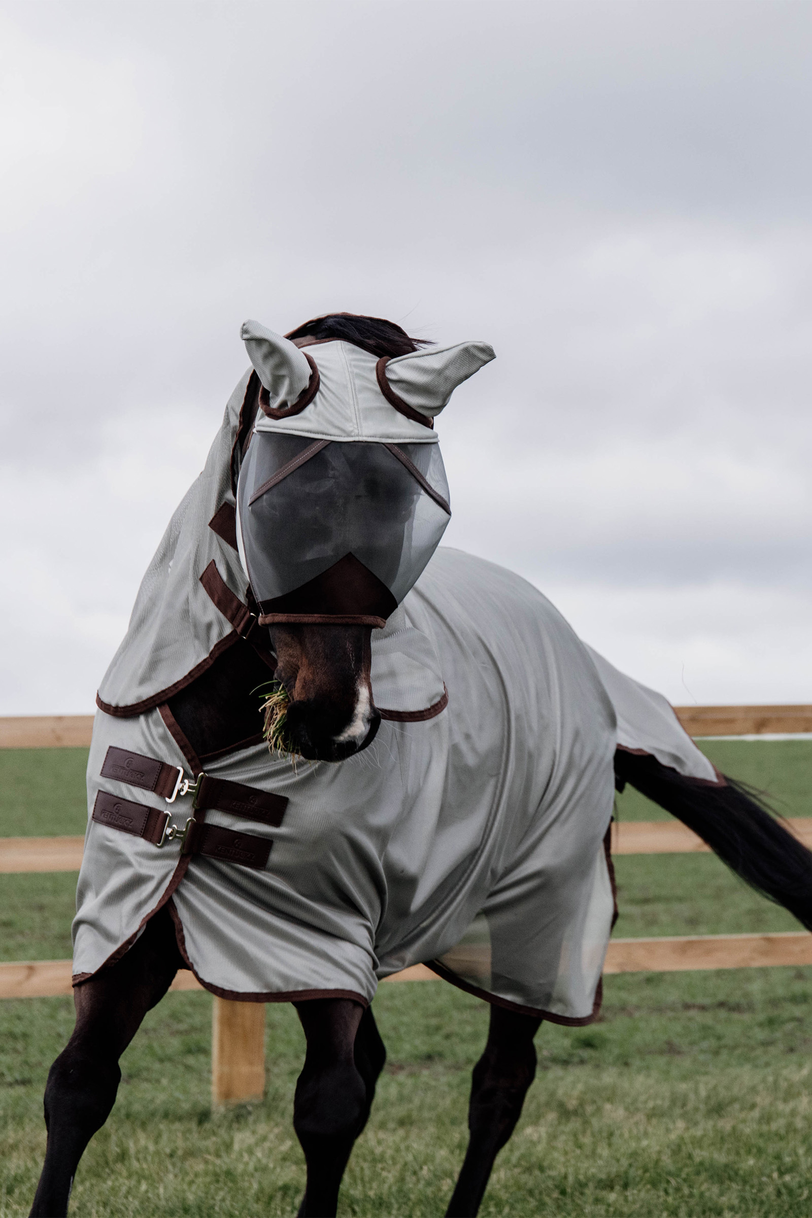Manta Anti-Moscas de Malla Kentucky Horsewear Classic