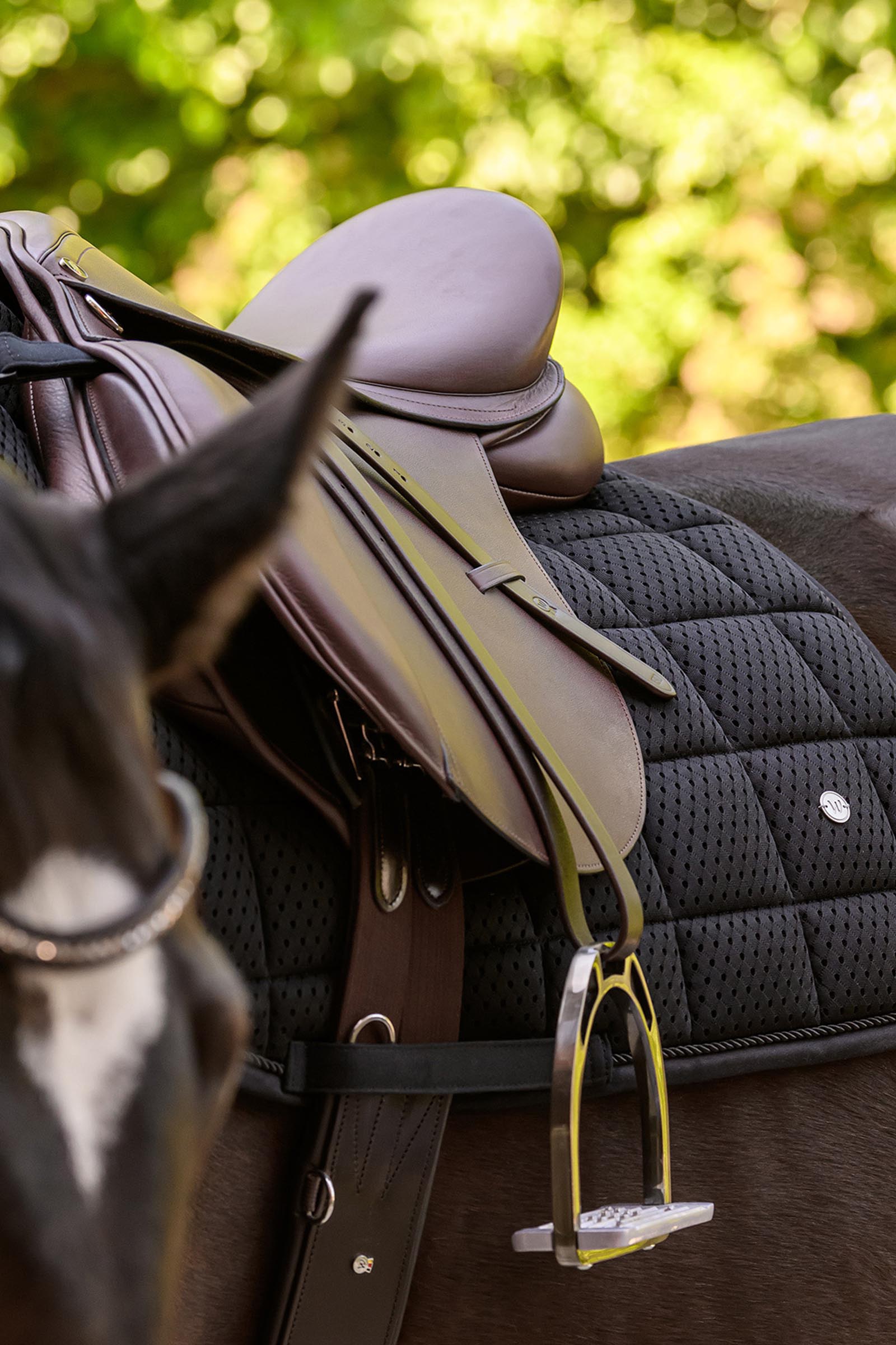 Waldhausen Breath Performance mantilla uso general 