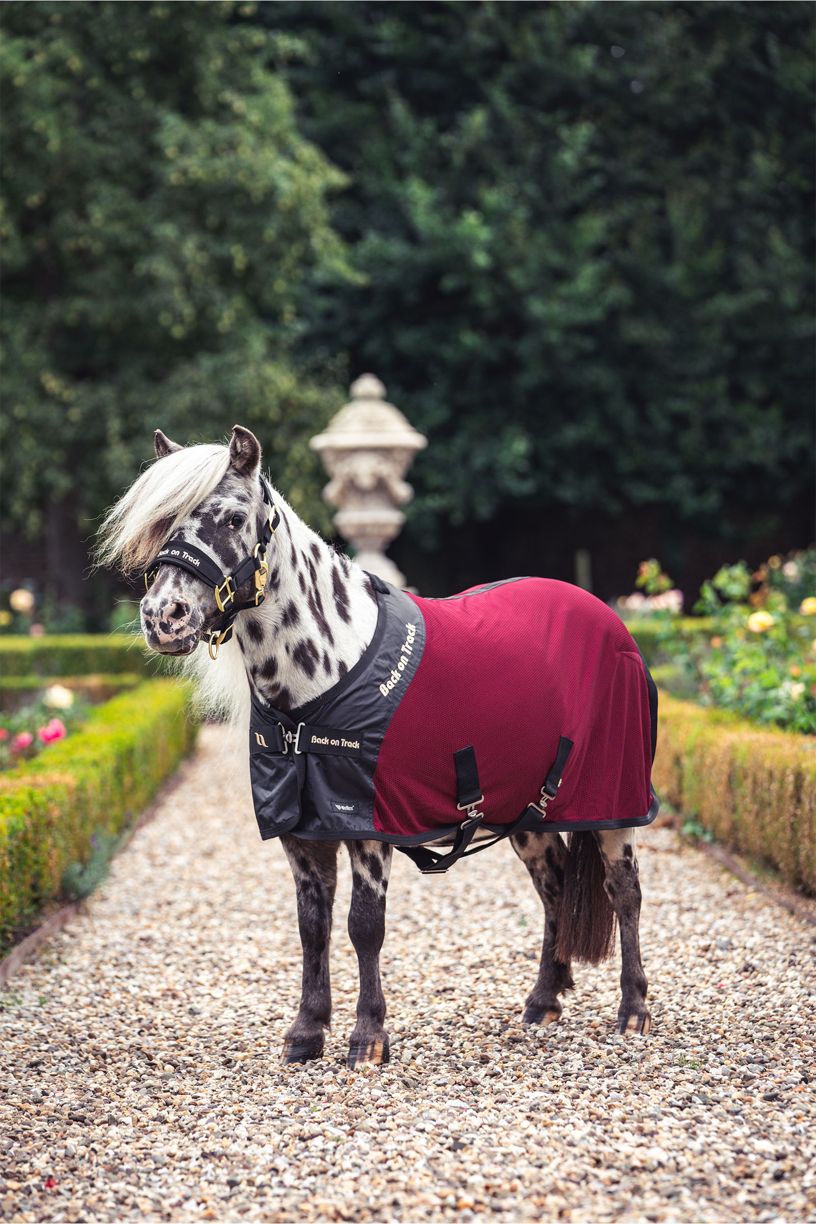 Back on Track Royal Manta de Malla para Pony Deluxe