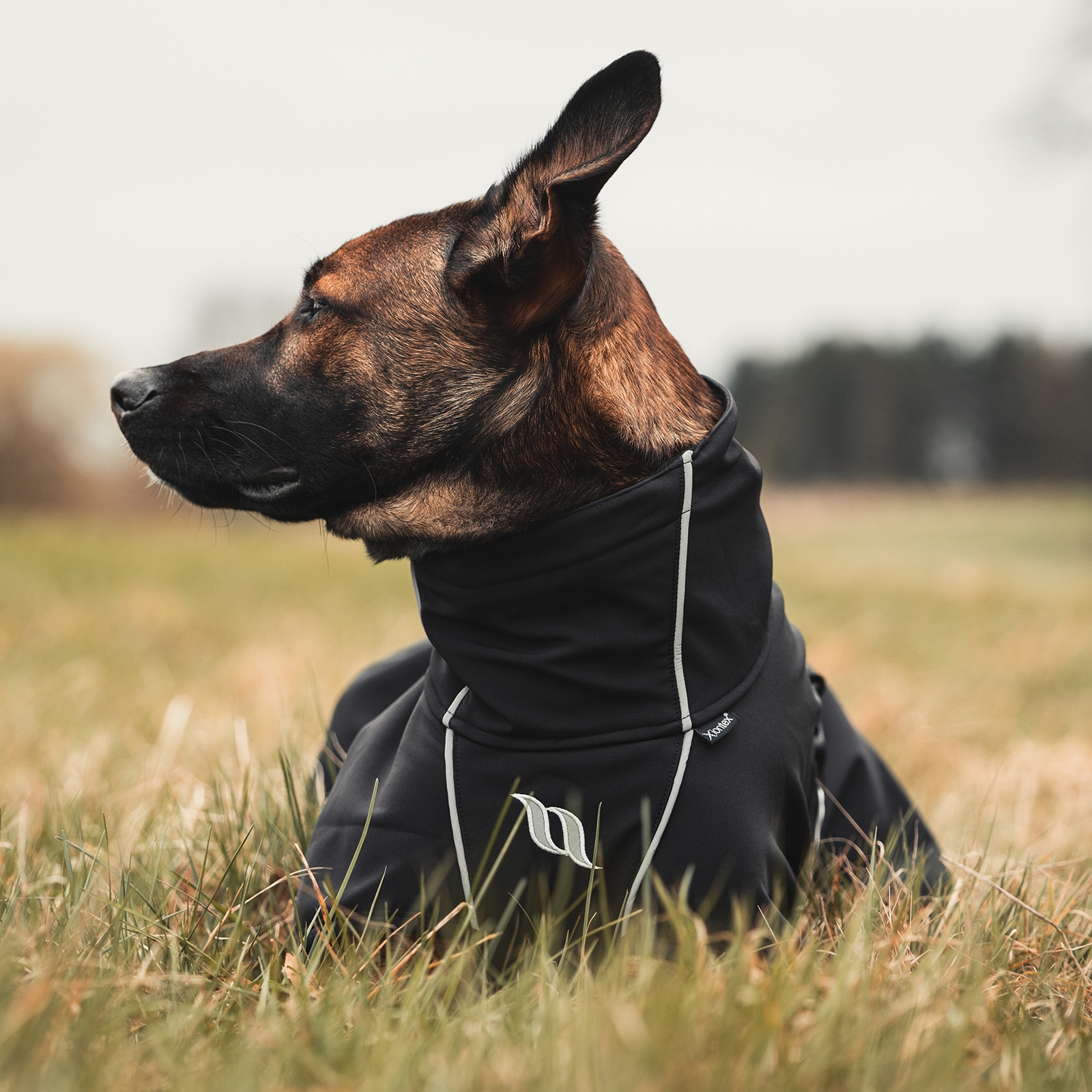 Abrigo para Perro Uso General Back on Track Nella, 25-35cm