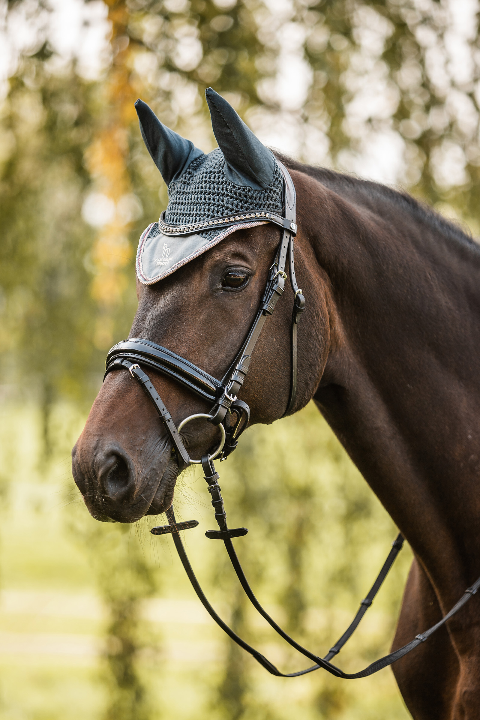 Orejeras Colección Adolescentes Horze Leighton