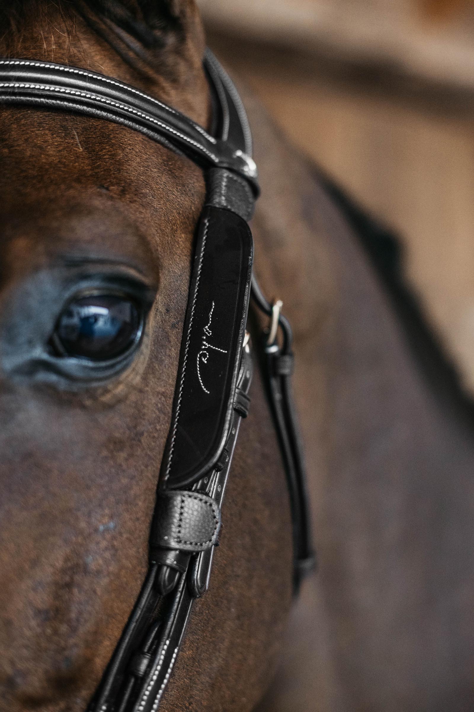 Dy'on anteojeras con costuras decorativas  