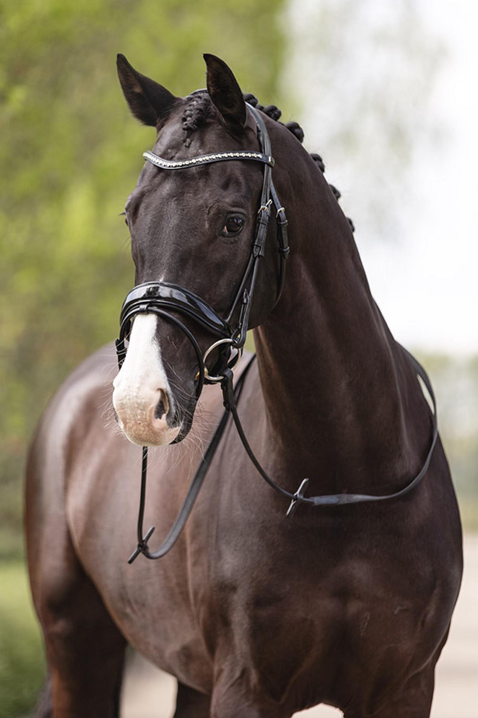 ANKY Cabezada Anatomic Comfort Fit con Pull Back Doble