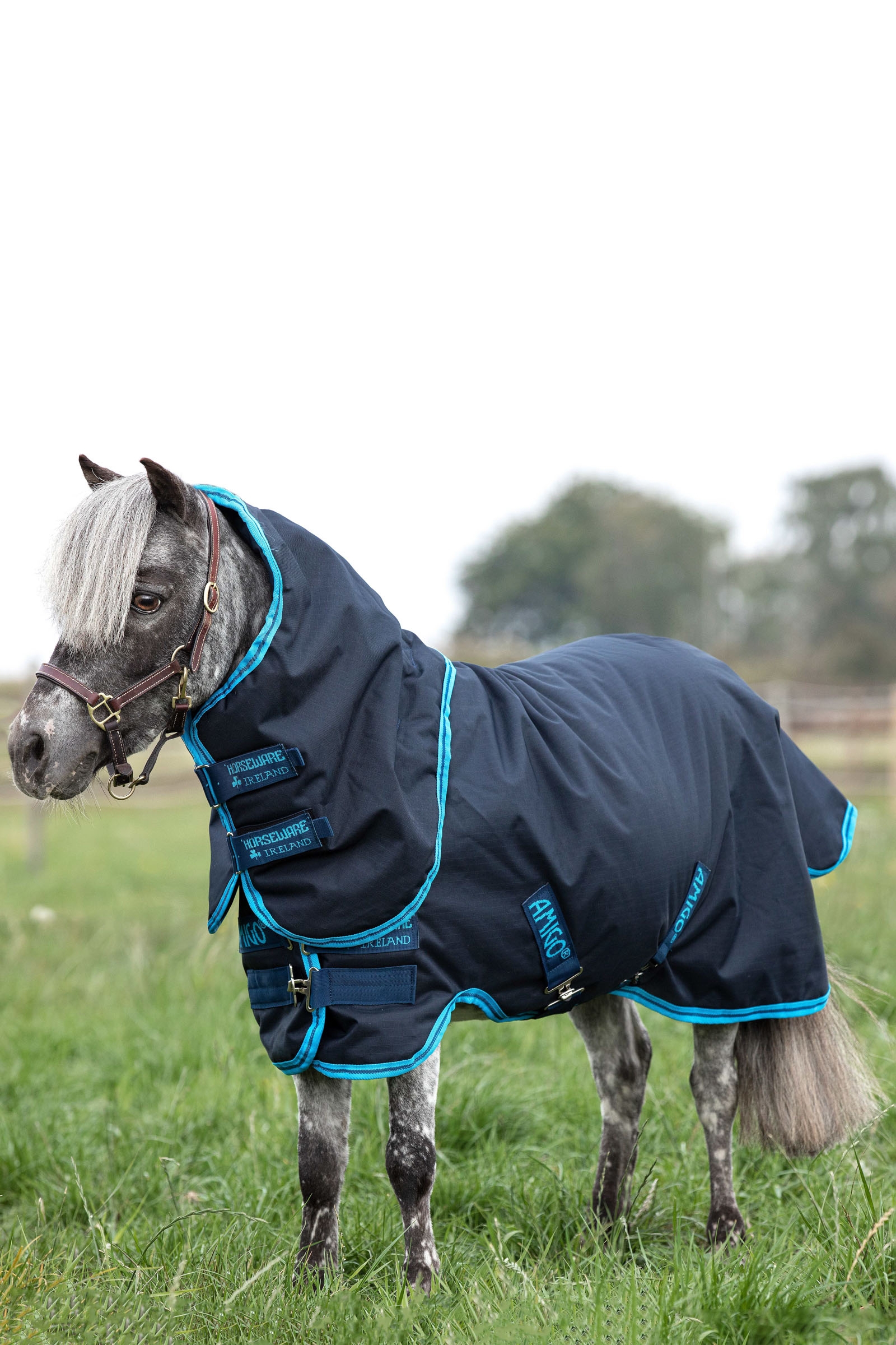Horseware Amigo Hero 6 Petite Plus Turnout incl. Capucha Desmontable, 200g