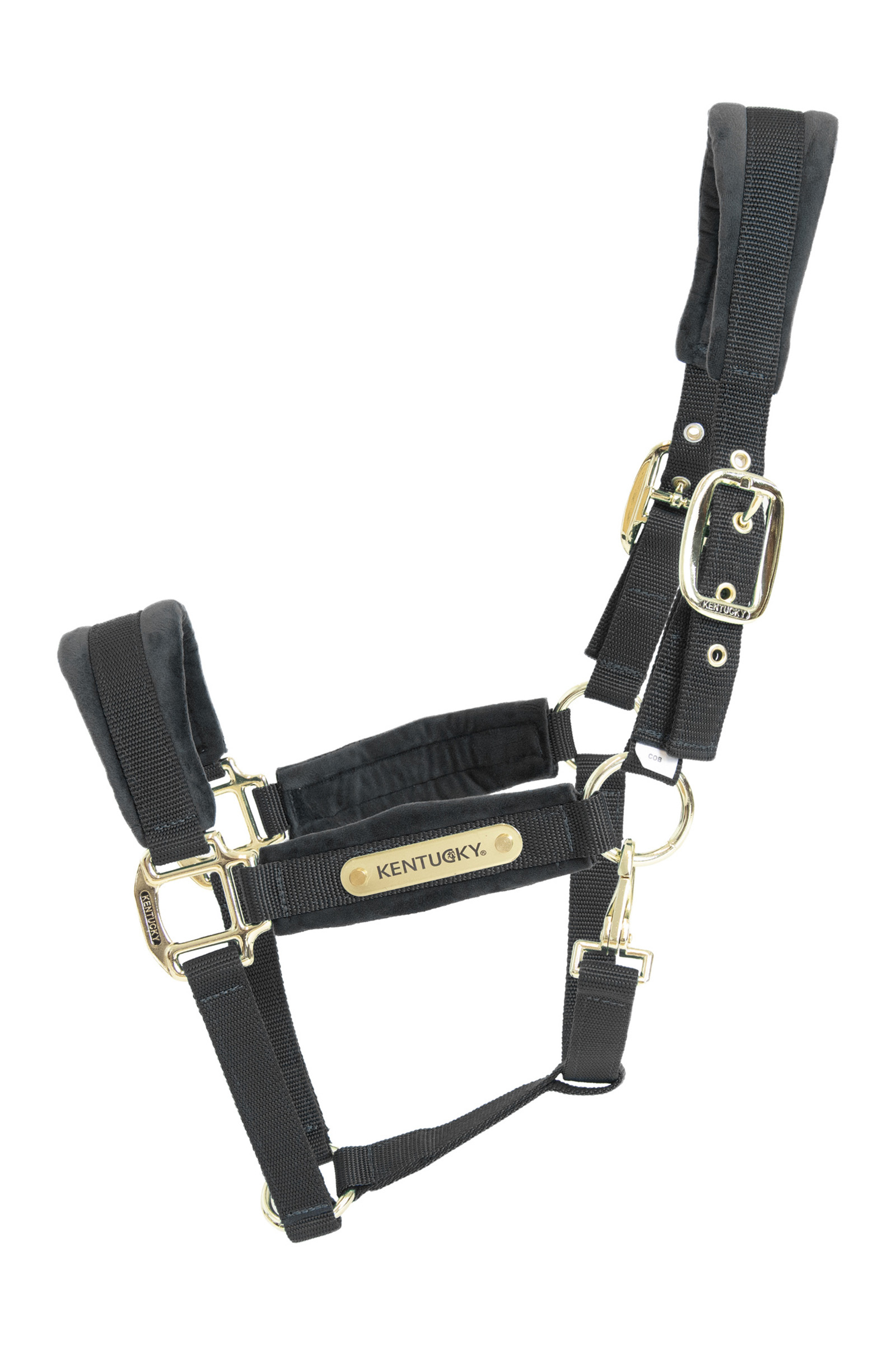 Black Cabezada de Cuadra Kentucky Horsewear Velvet
