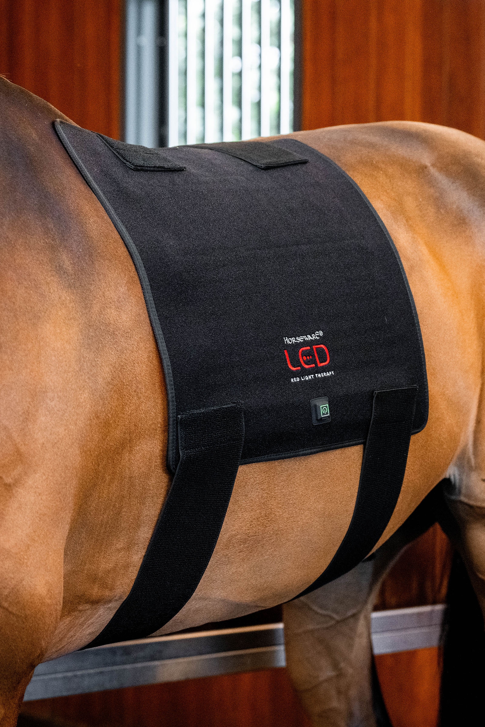 Horseware Pad terap&eacute;utico LED de luz roja