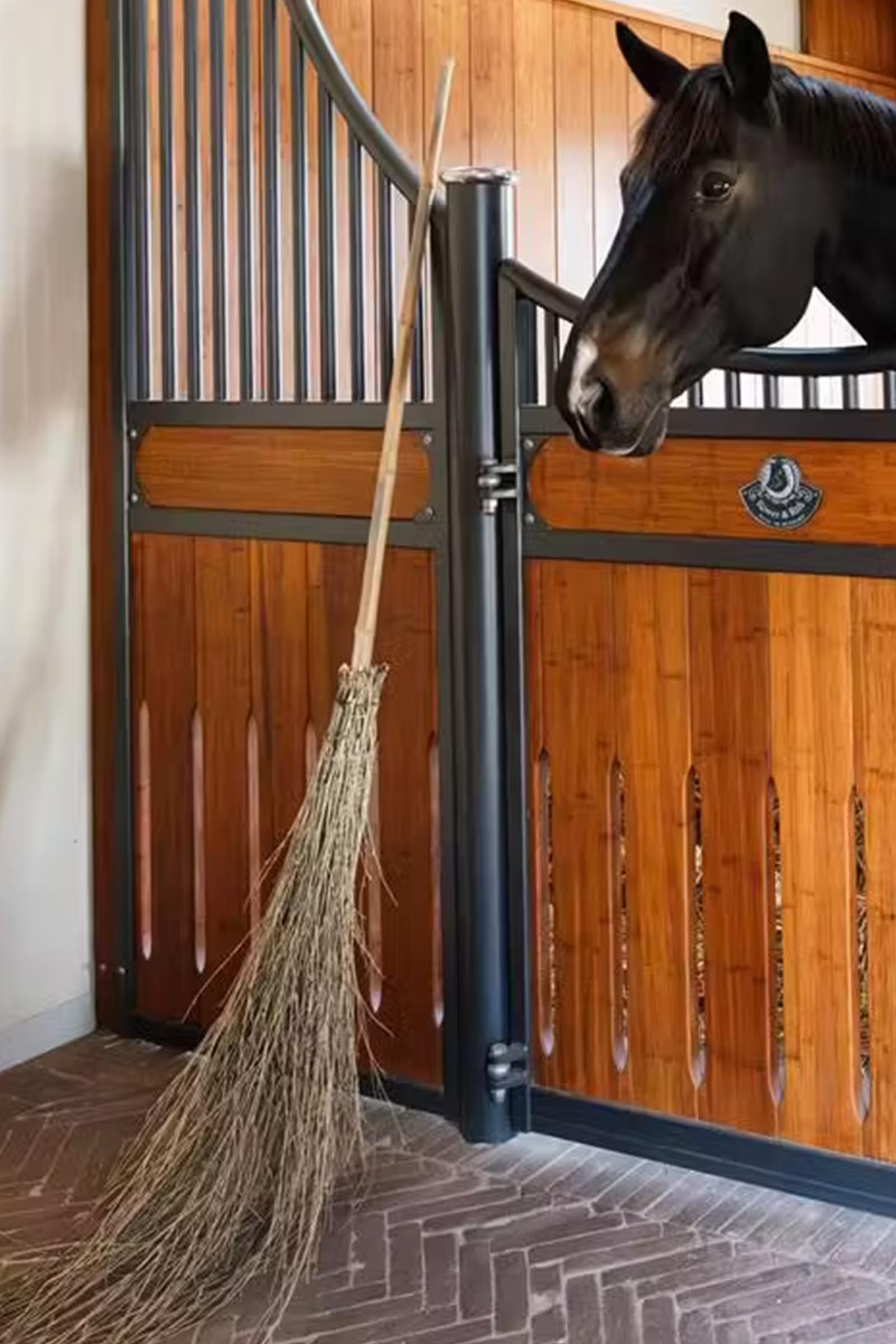 Grooming Deluxe escoba de bamb&uacute;  