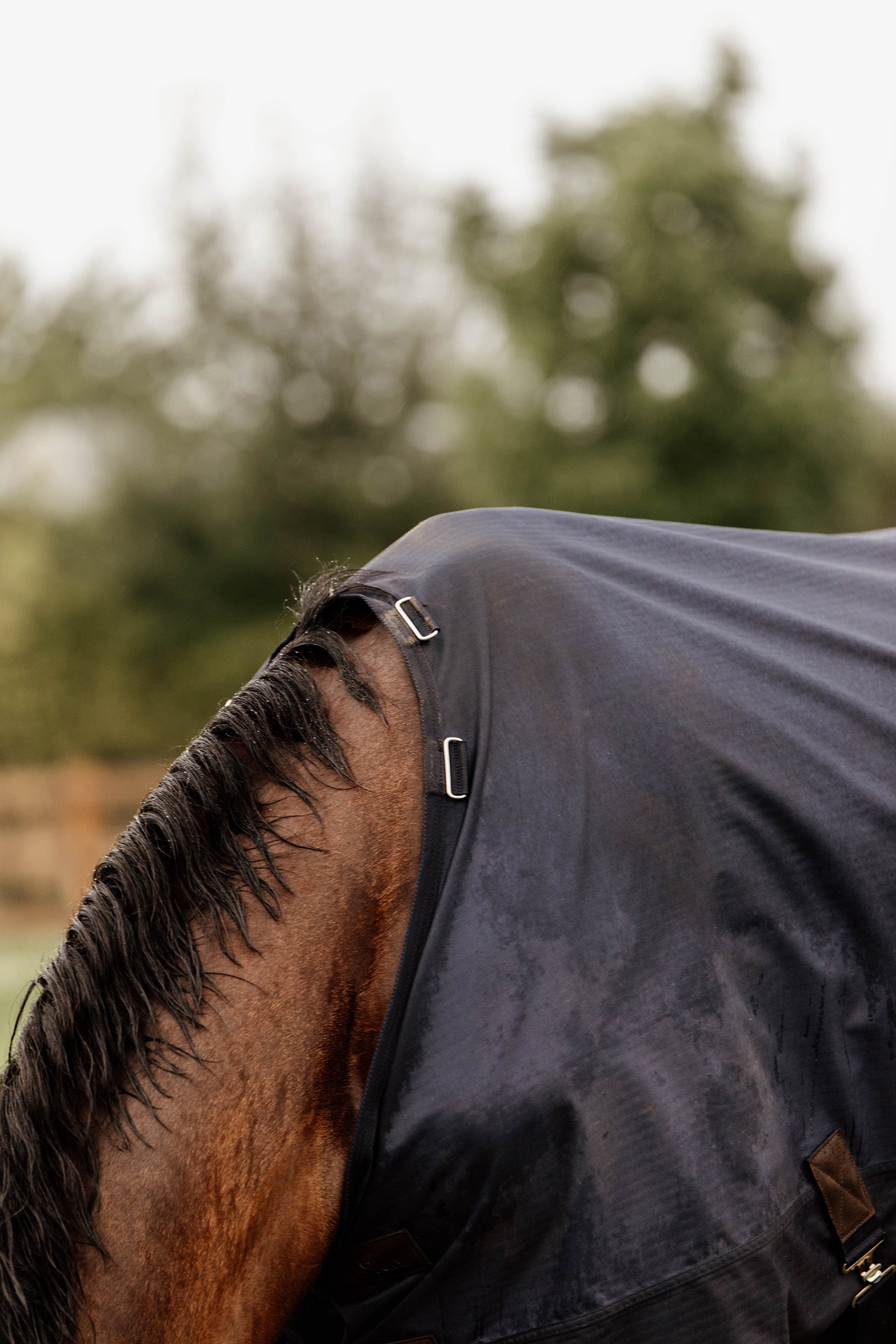 Kentucky Horsewear Turnout Manta de Exterior para todo clima, 300 g